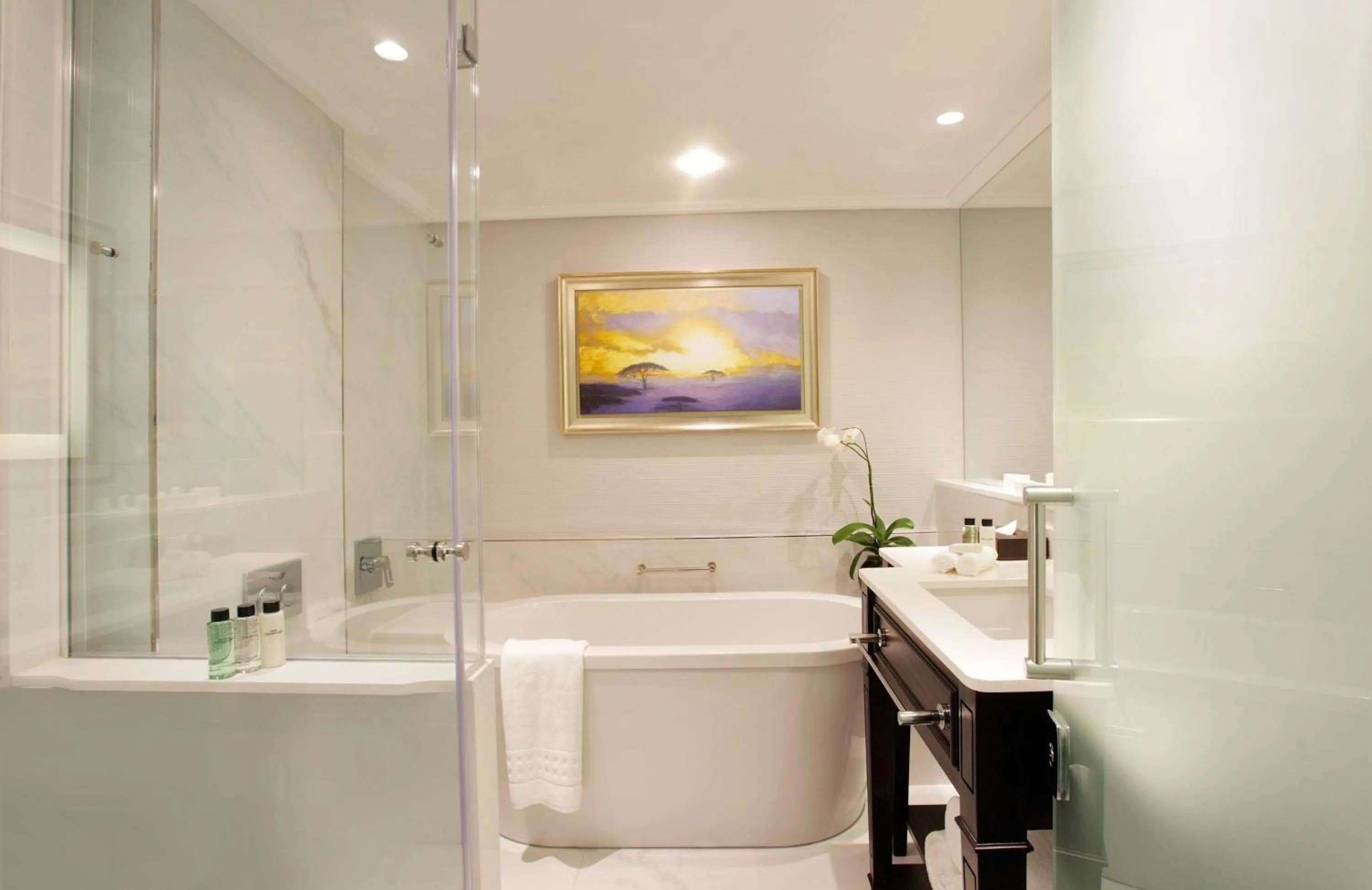 Bathroom in Sandton Sun and Towers