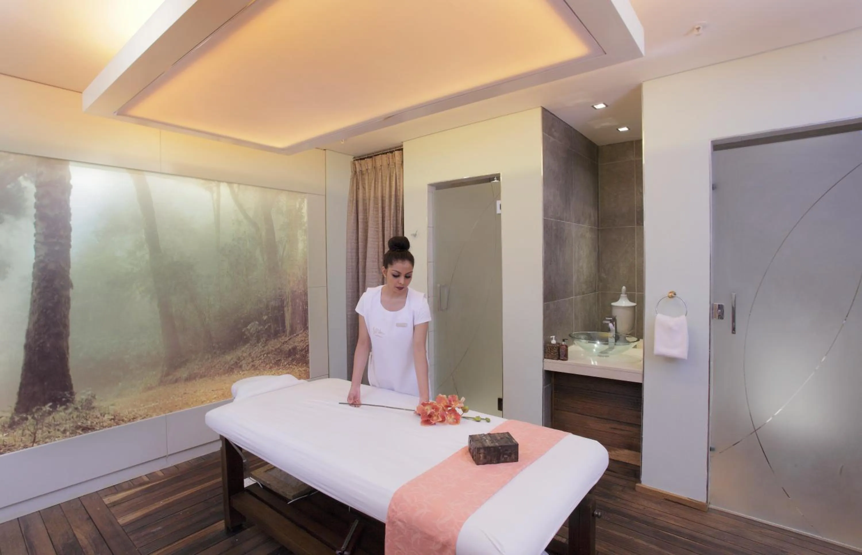 Massage in Sandton Sun and Towers