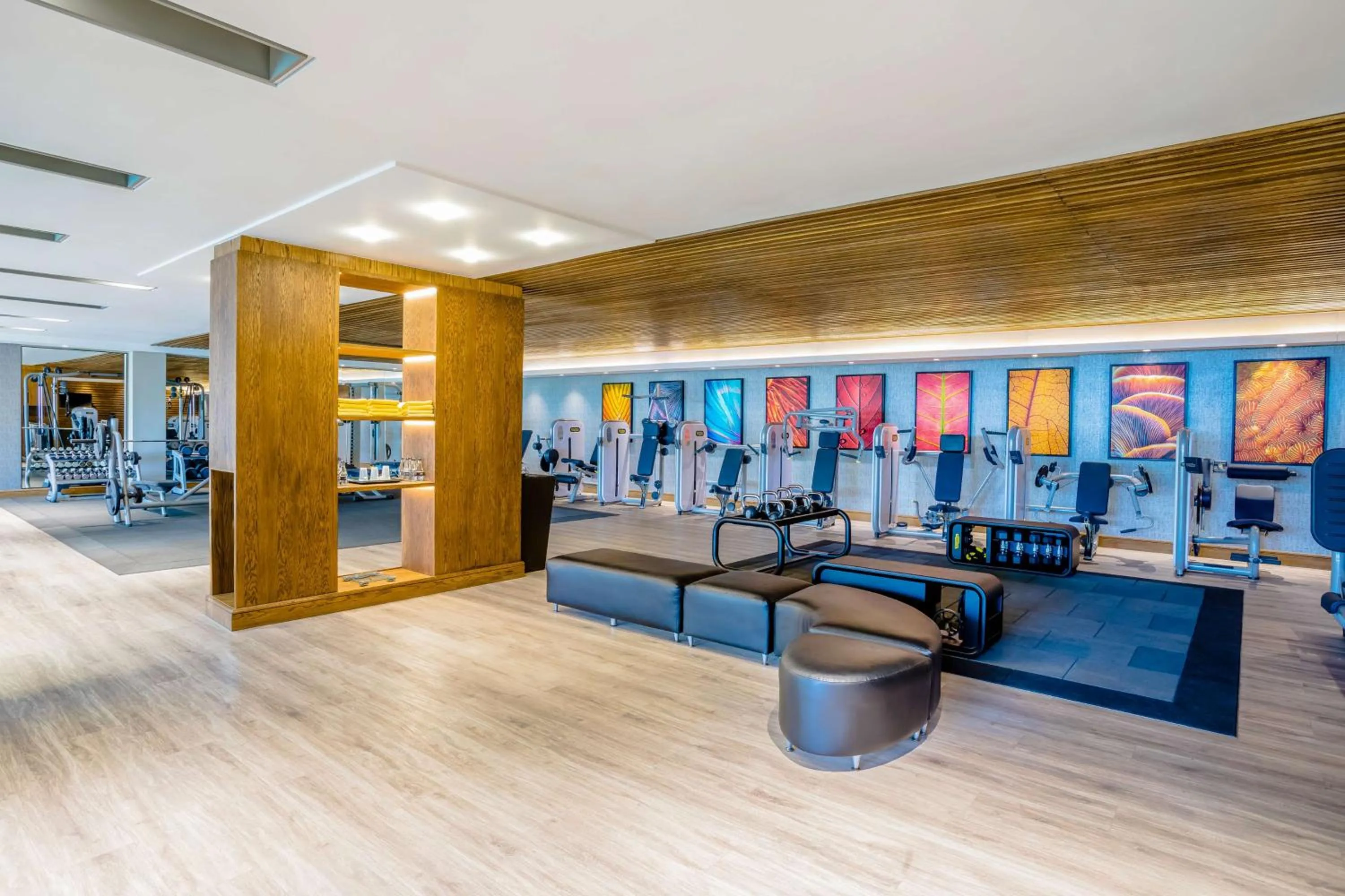 Fitness centre/facilities in Sandton Sun and Towers