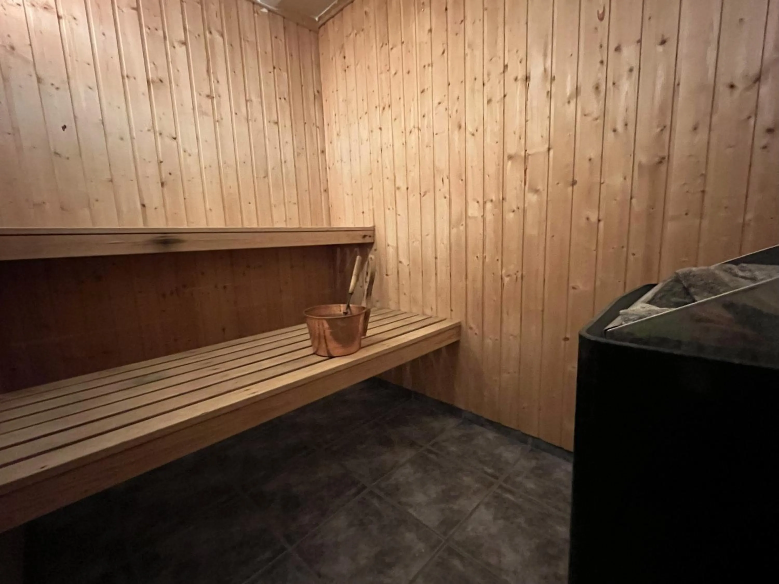Sauna in Hotell Strandvillan Orsa