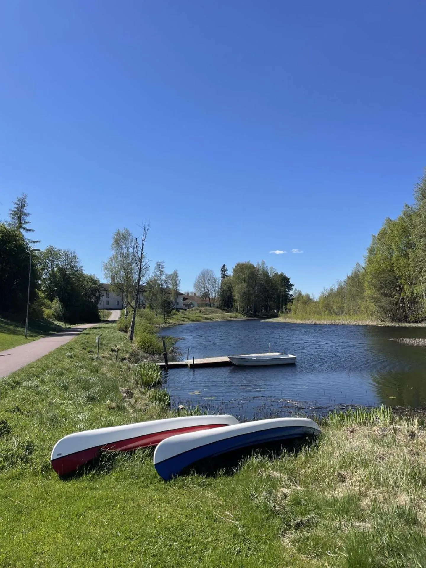 Natural landscape in Hotell Strandvillan Orsa