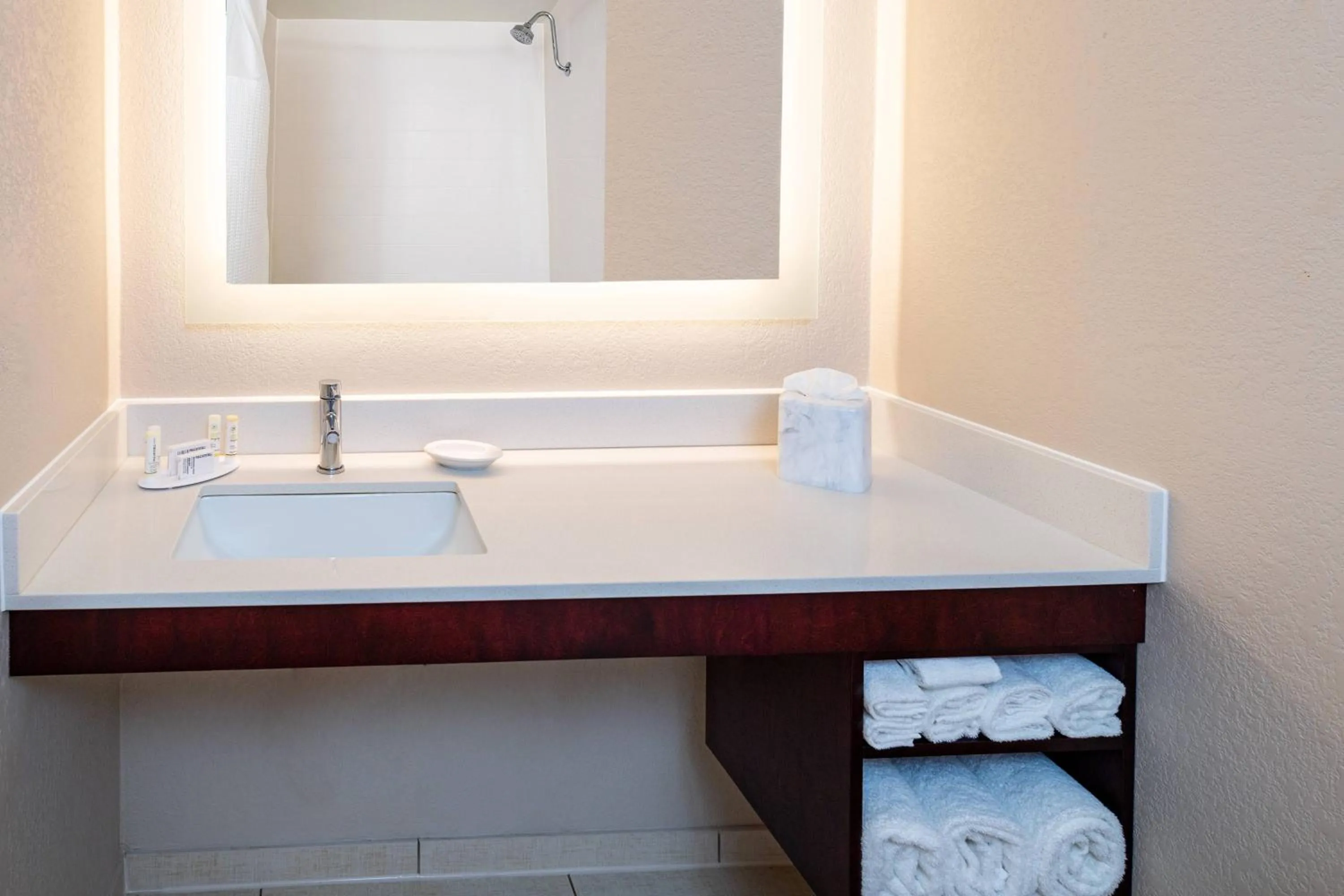 Bathroom in SpringHill Suites Houston Medical Center / NRG Park