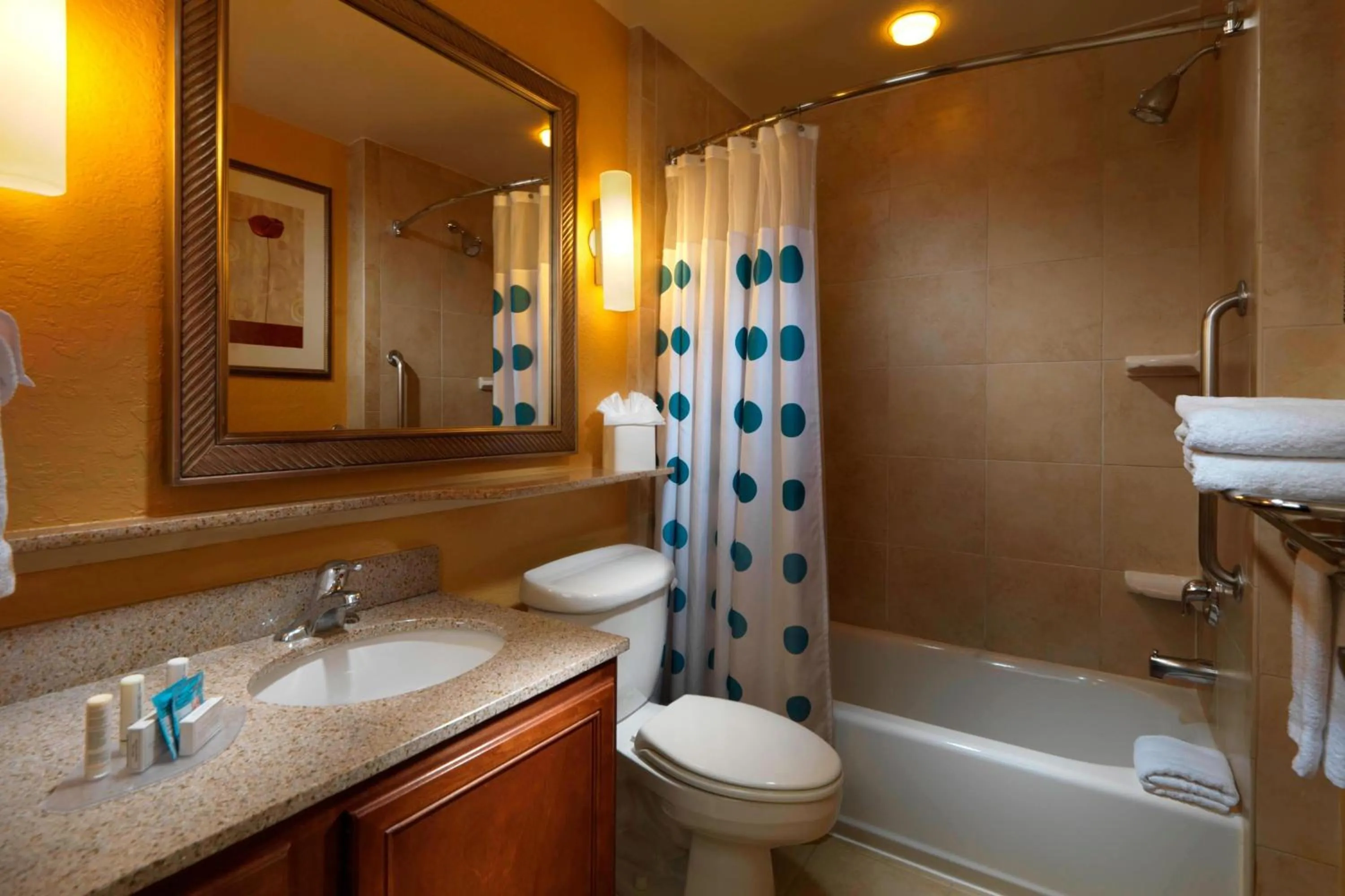 Bathroom in TownePlace Suites Houston Intercontinental Airport