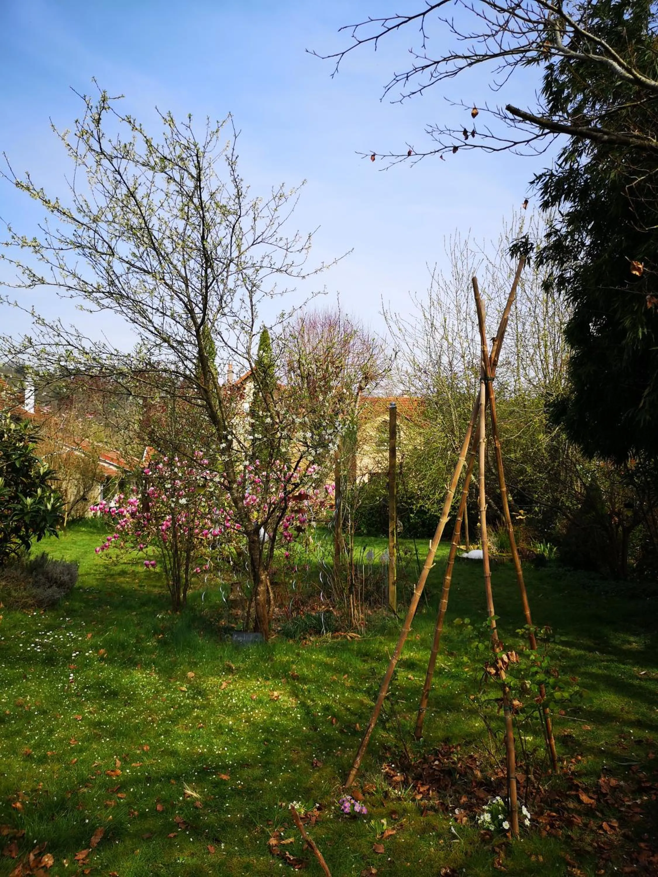 Garden in Villa le Cloky