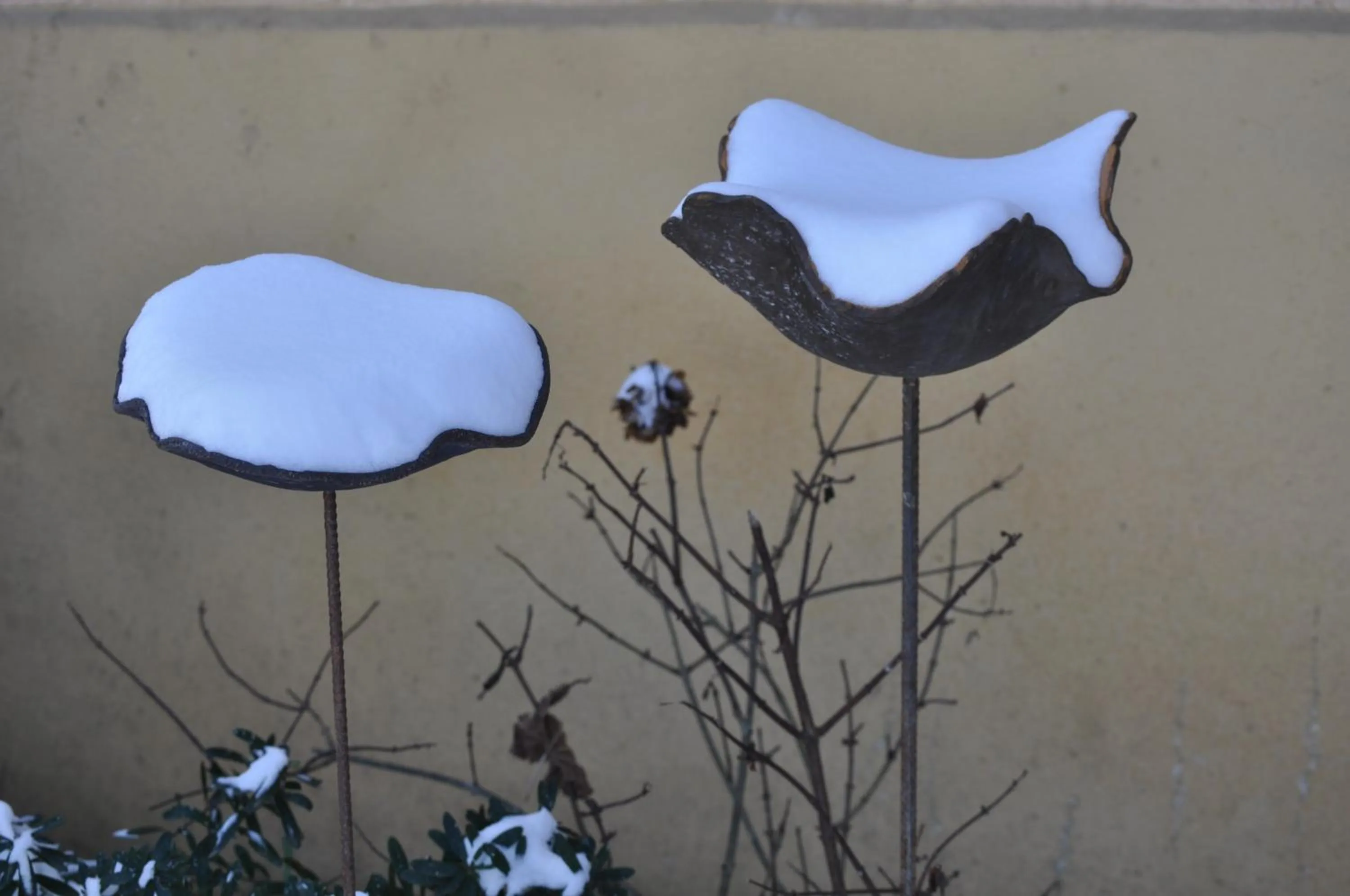 Winter in Villa le Cloky