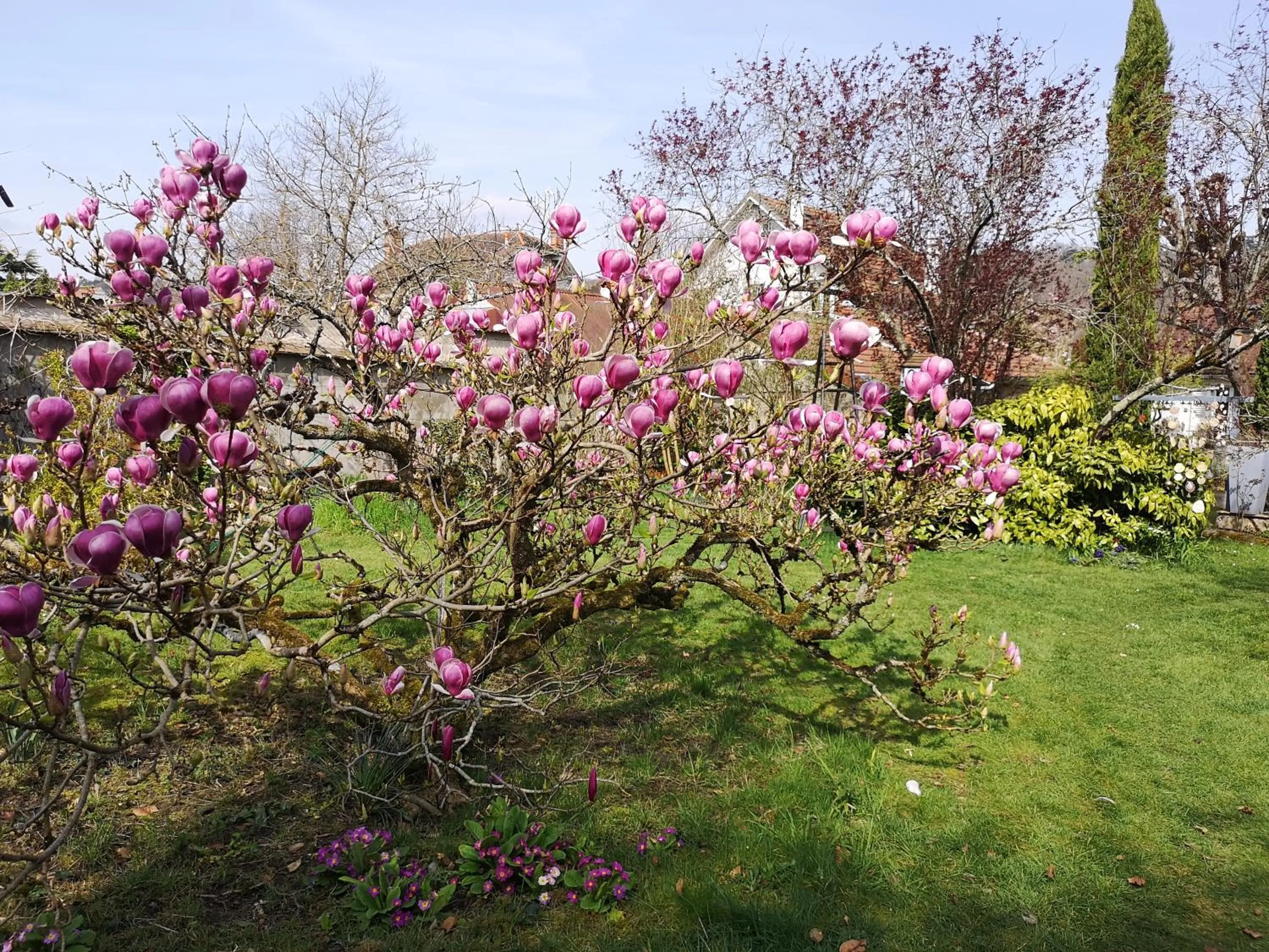 Garden in Villa le Cloky
