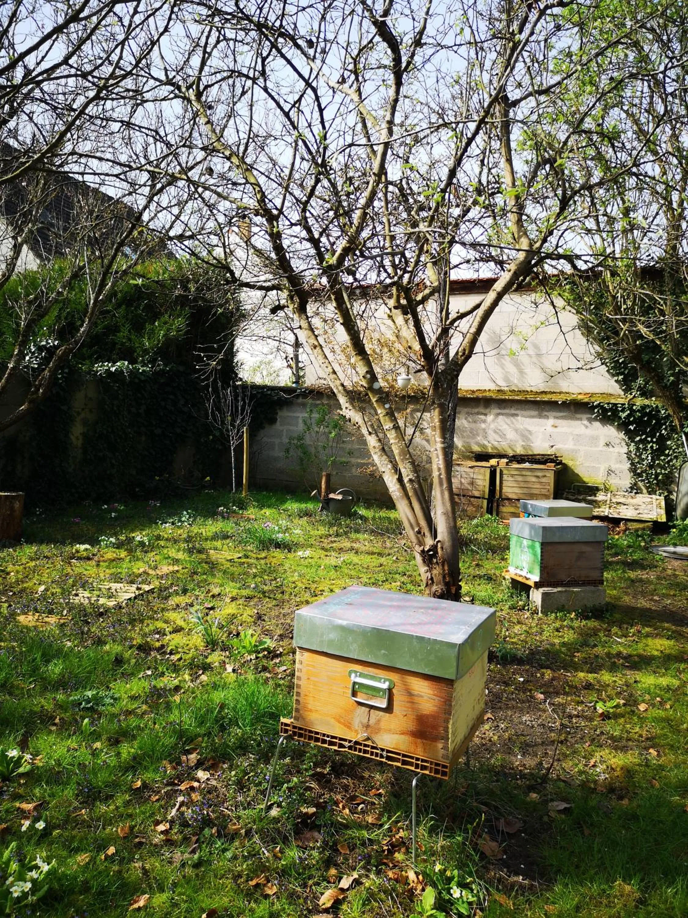 Garden in Villa le Cloky