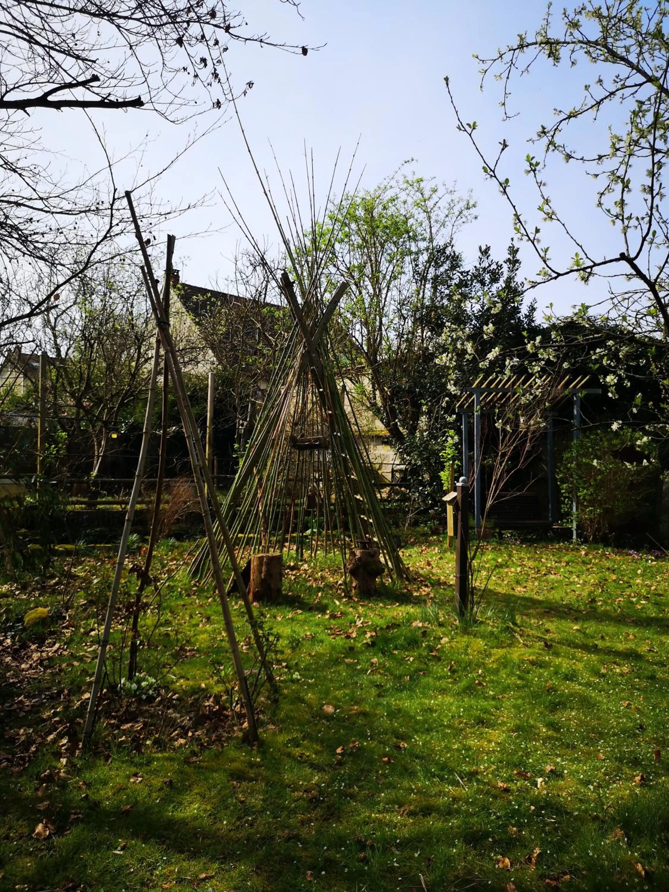Garden in Villa le Cloky