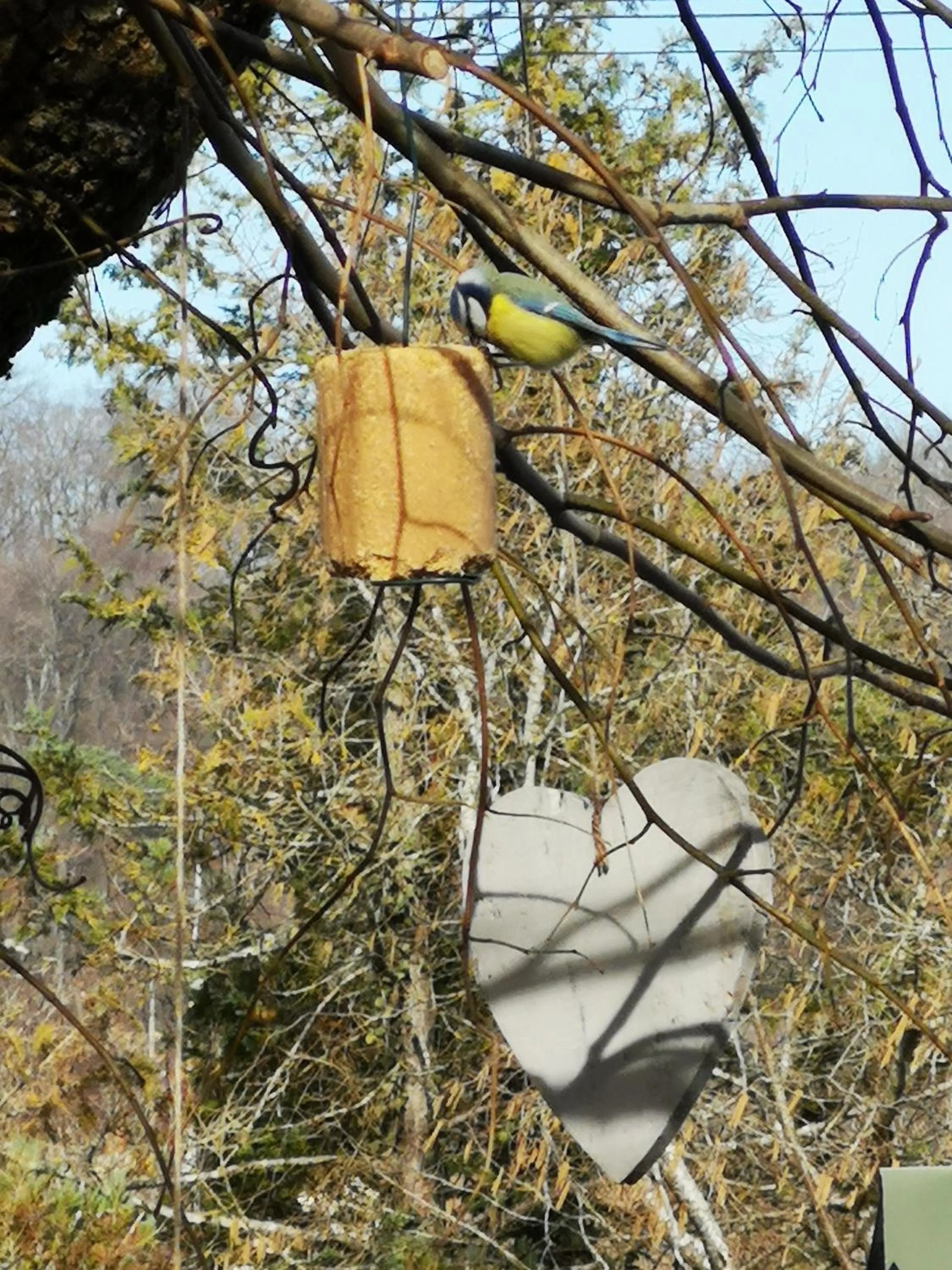 Natural landscape in Villa le Cloky