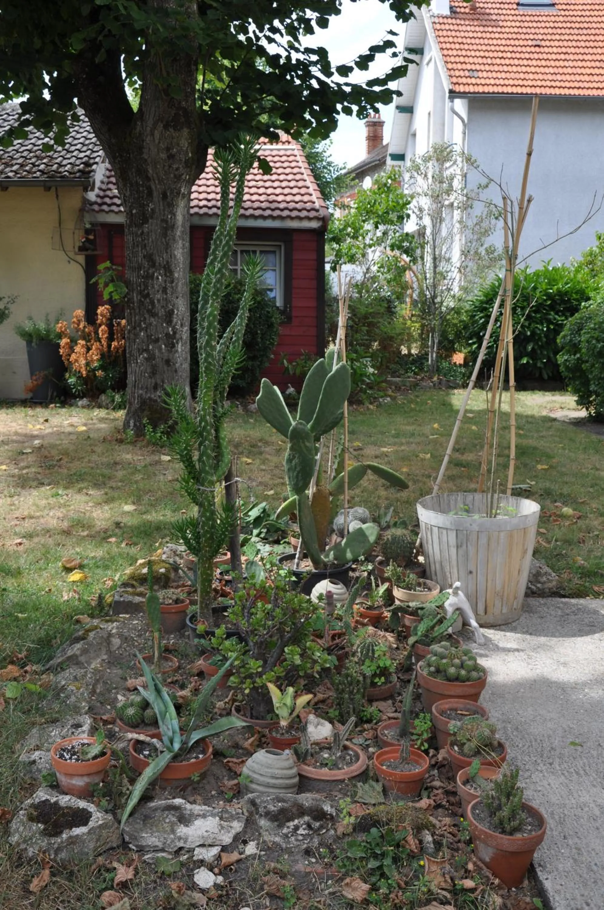 Garden in Villa le Cloky