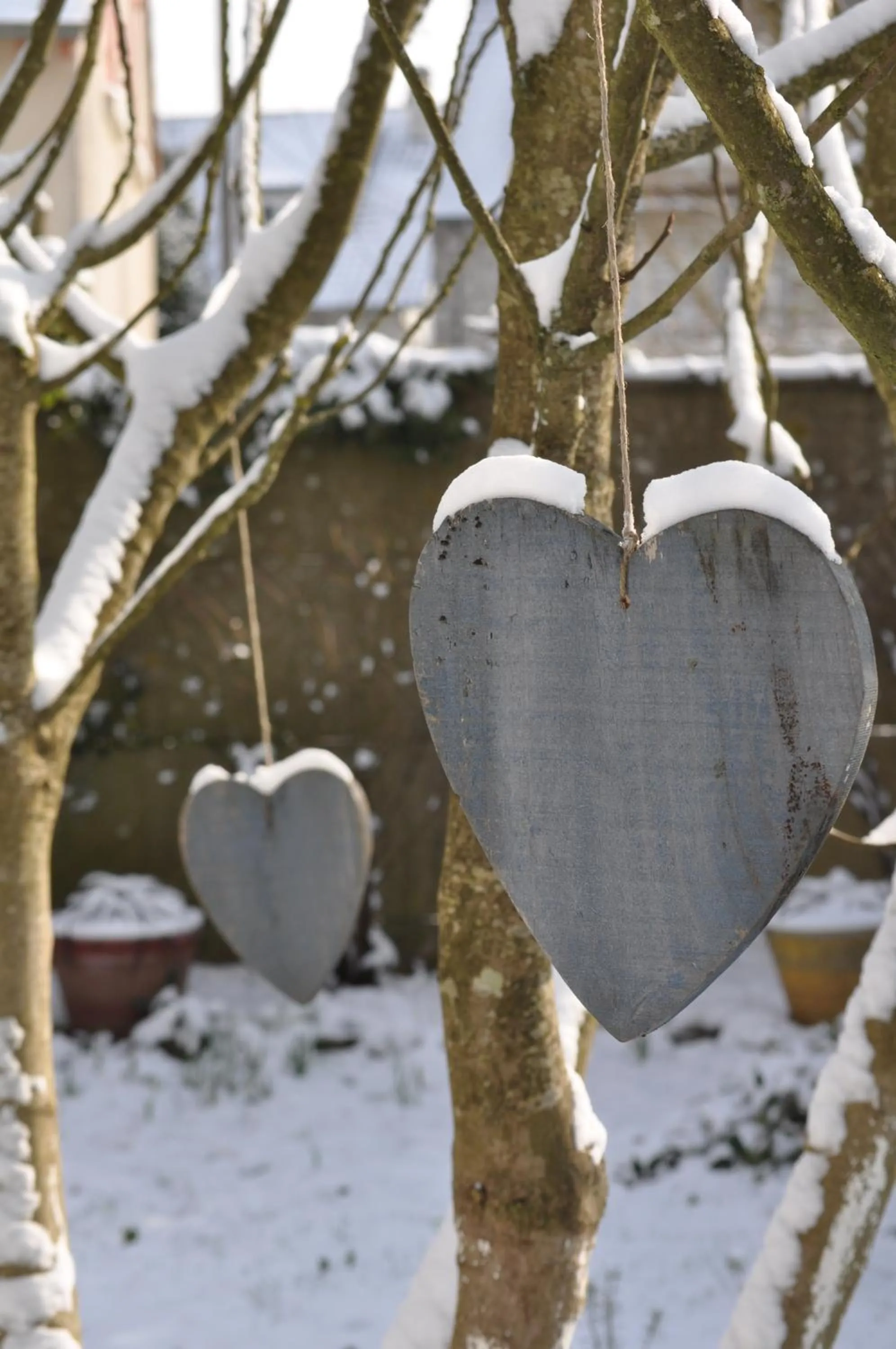 Winter in Villa le Cloky