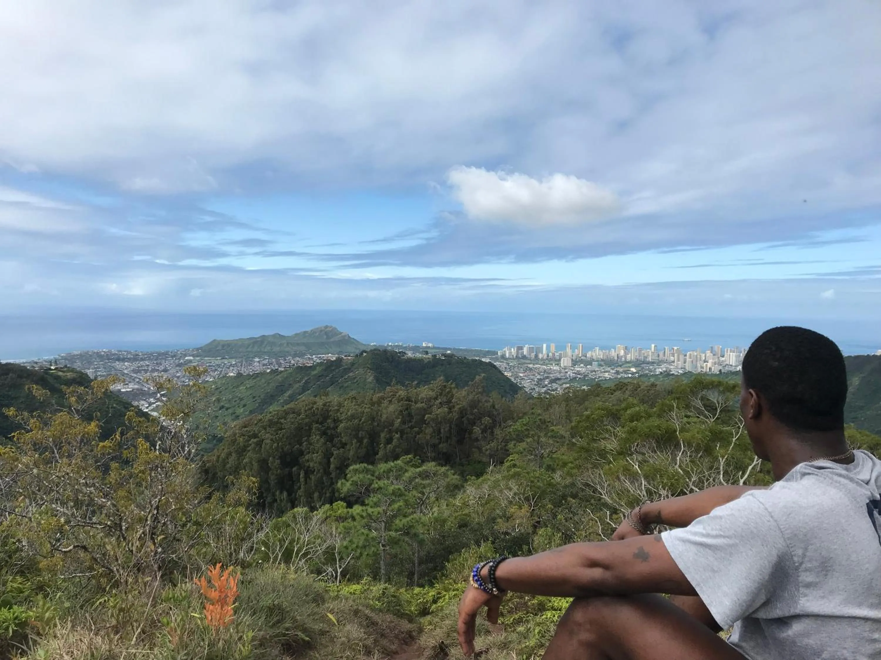 Natural landscape in Polynesian Hostel Beach Club