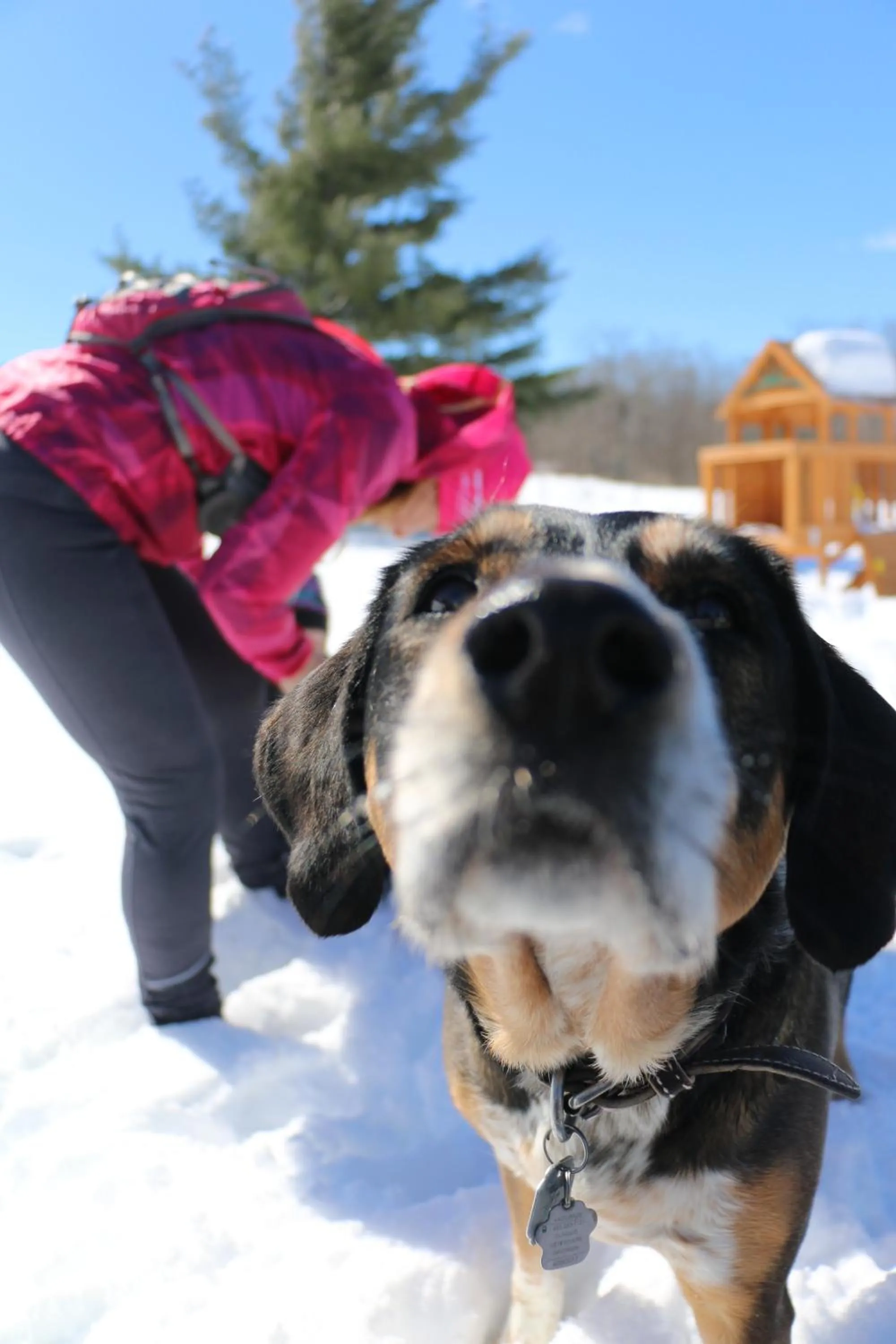 Winter in Auberge Schweizer