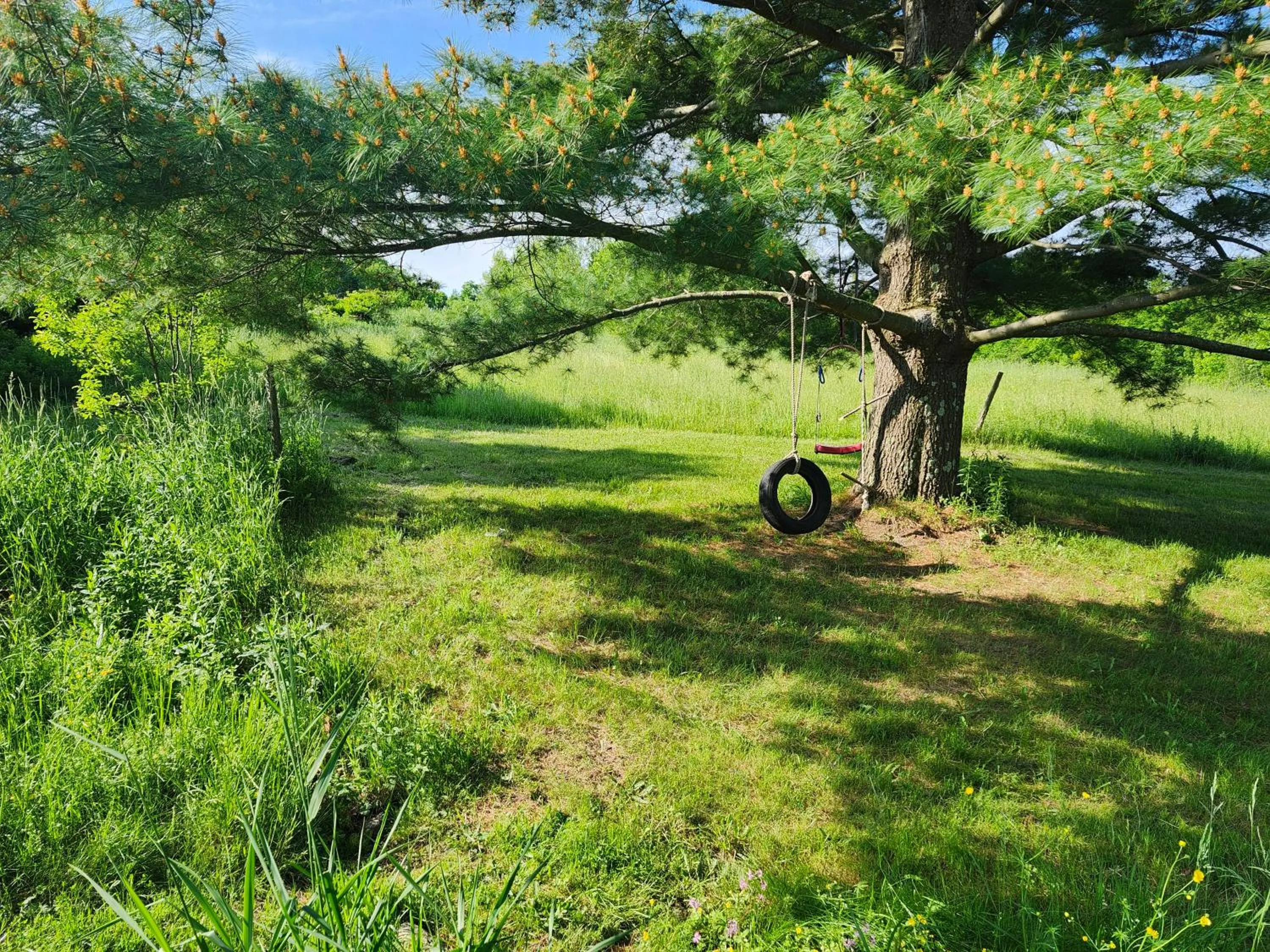 Children play ground in Auberge Schweizer