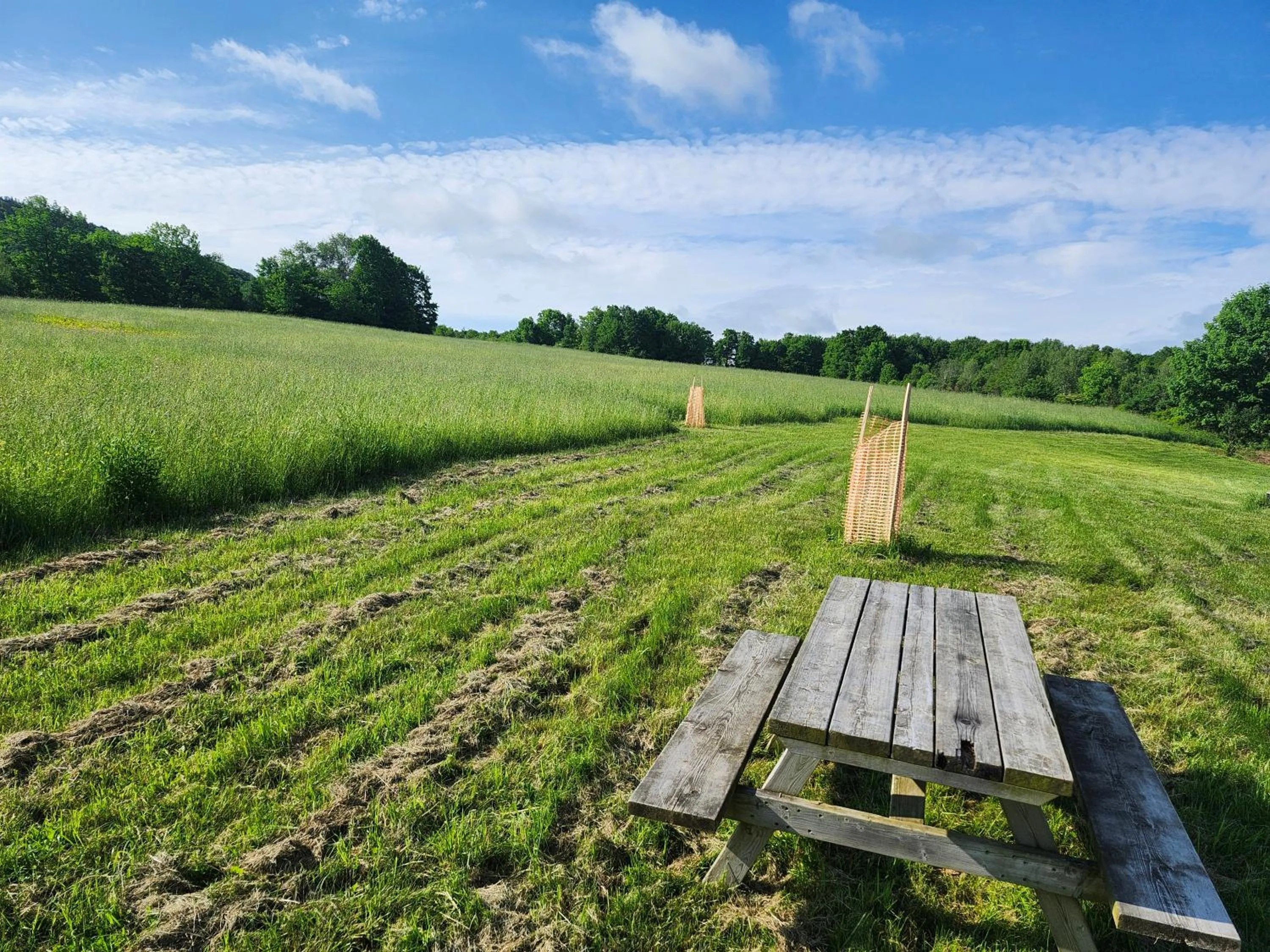 Garden in Auberge Schweizer