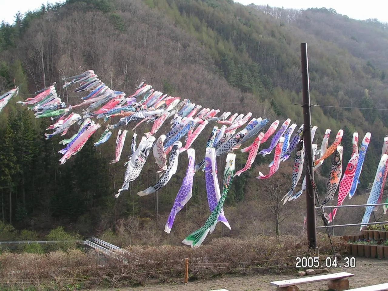 Off site in Pension Rapan