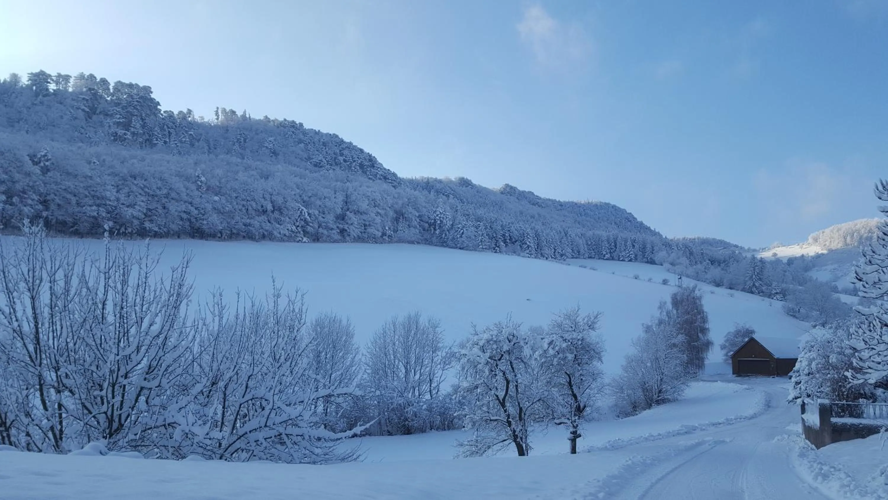 Winter in Ferienhof Gruber
