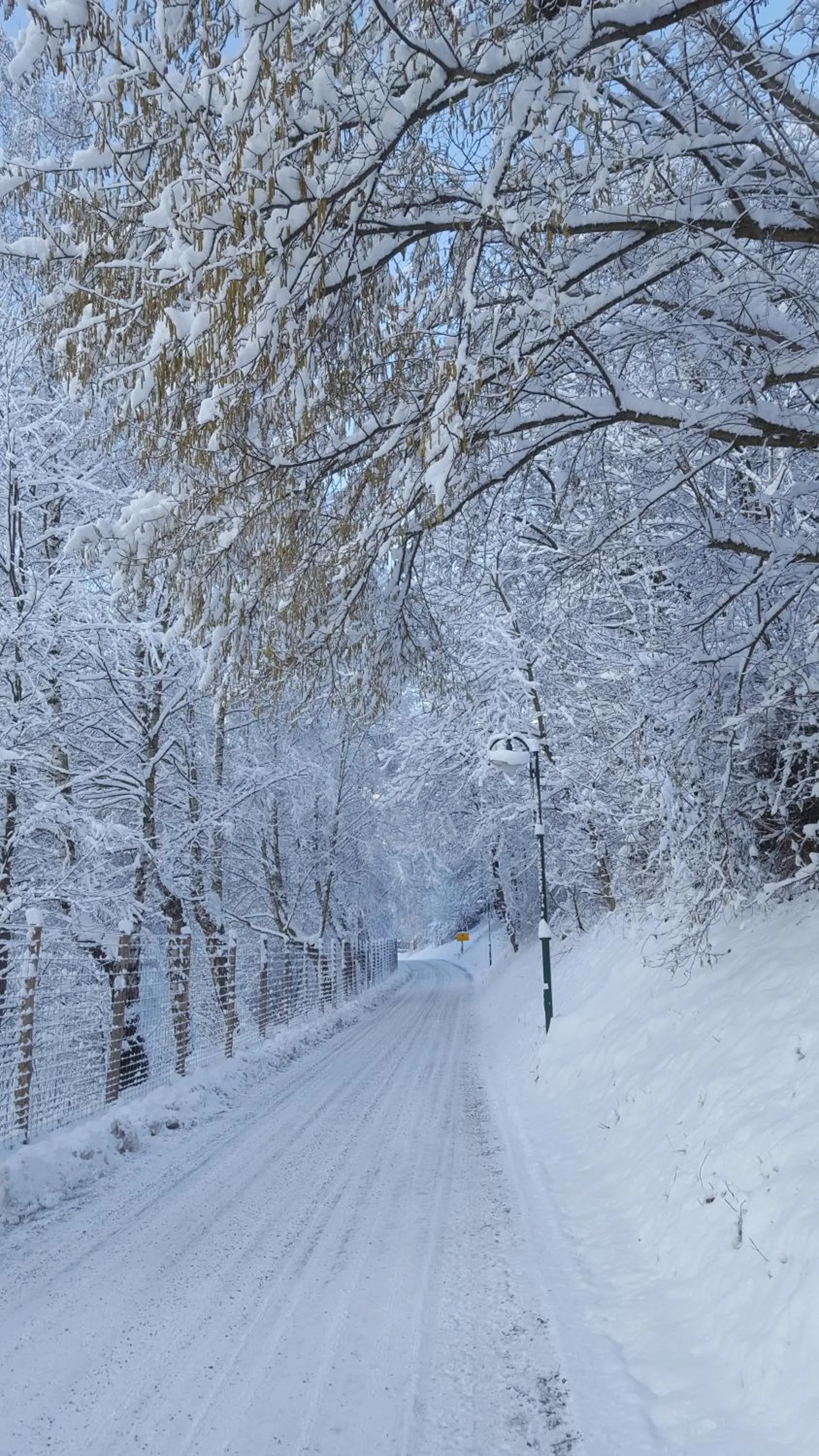 Winter in Ferienhof Gruber