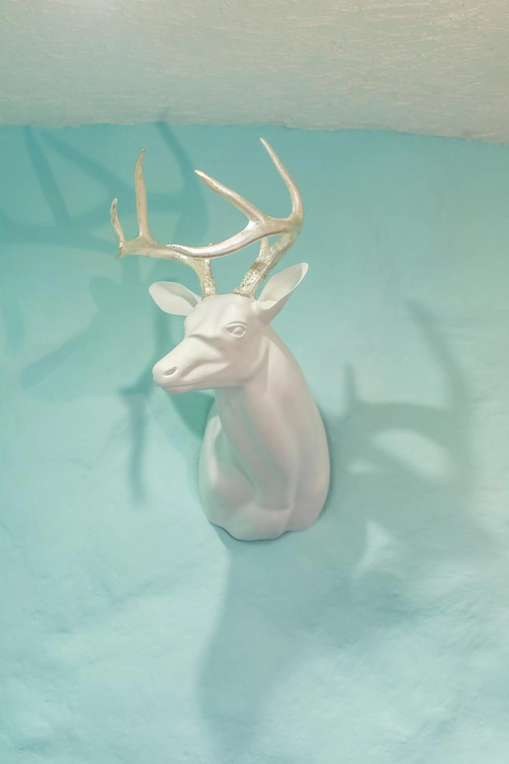 Decorative detail in X.O Art House