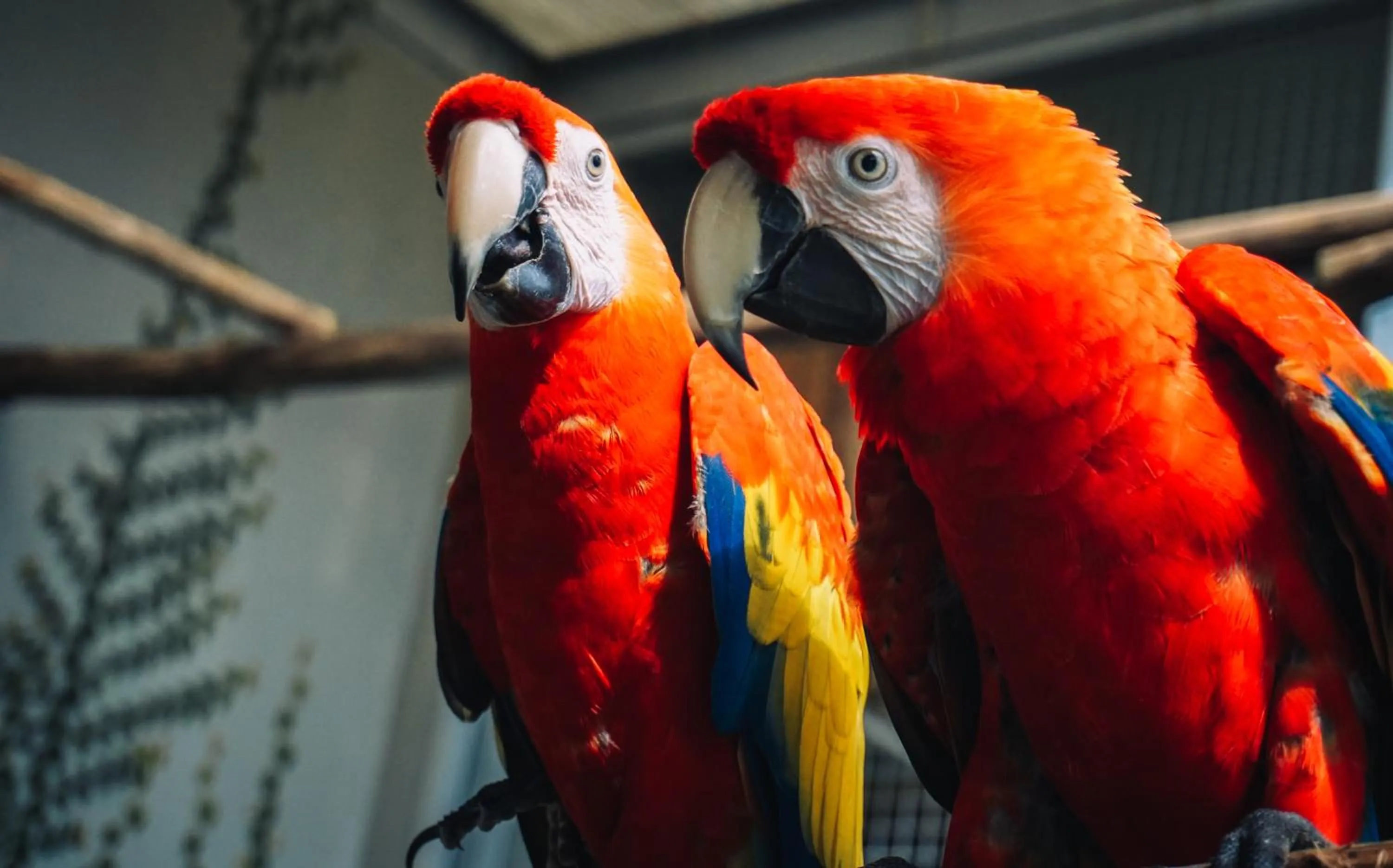 Garden in Vedana Lagoon Resort & Spa