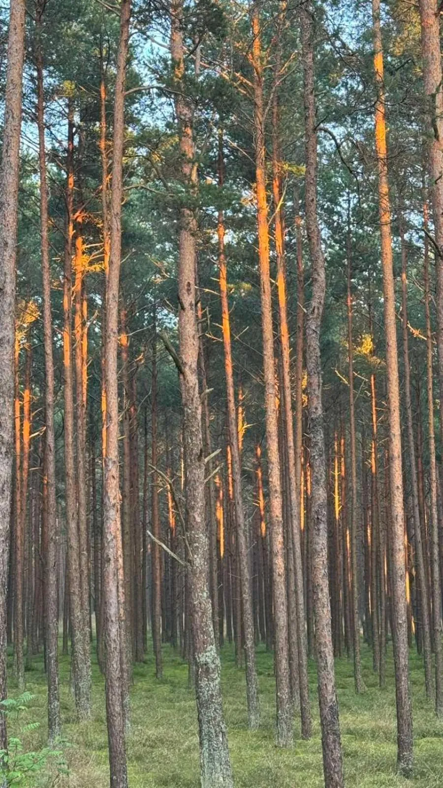 Patio in Meduza Hotel