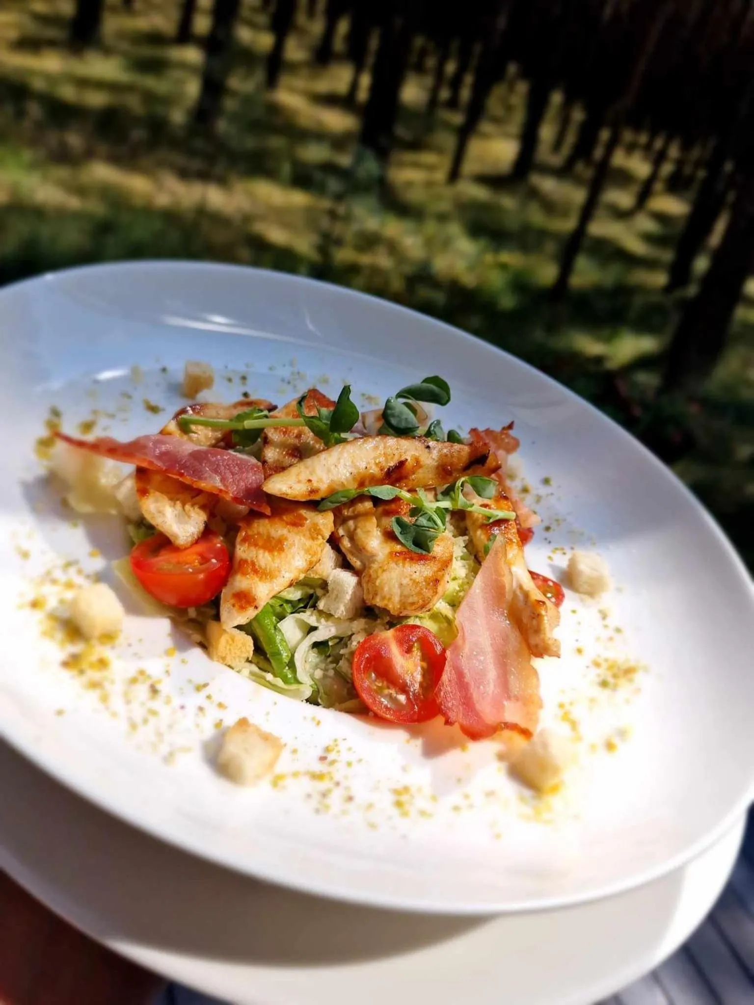 Restaurant/places to eat in Meduza Hotel