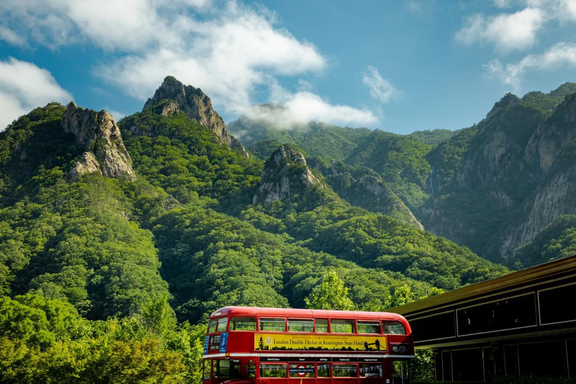 Spring in KensingtonHotel Seorak