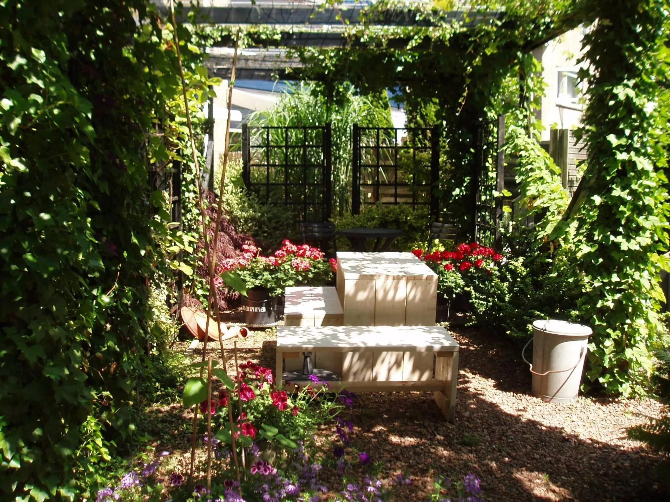 Garden in Noordwester 45