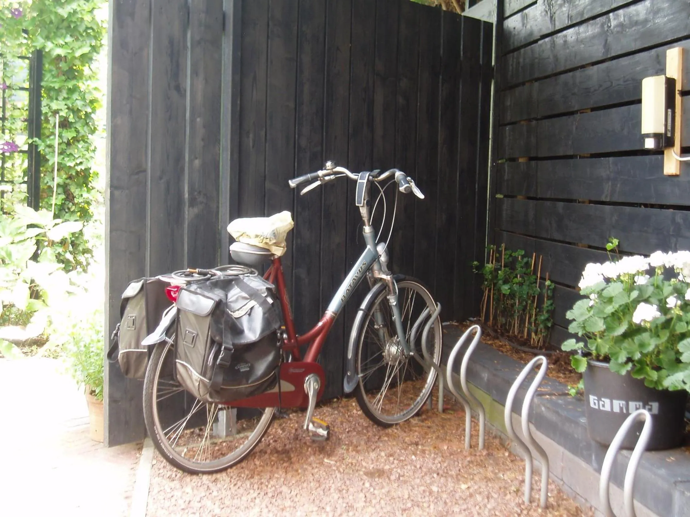 Garden in Noordwester 45