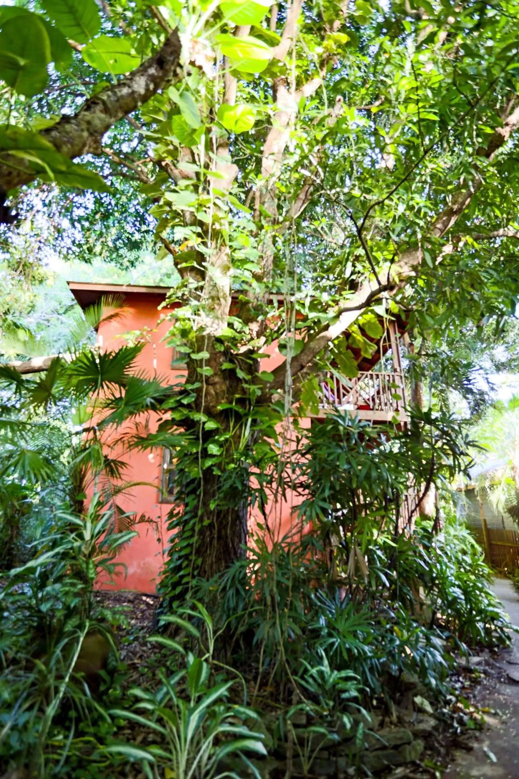 Off site in Posada Arco Iris, West End