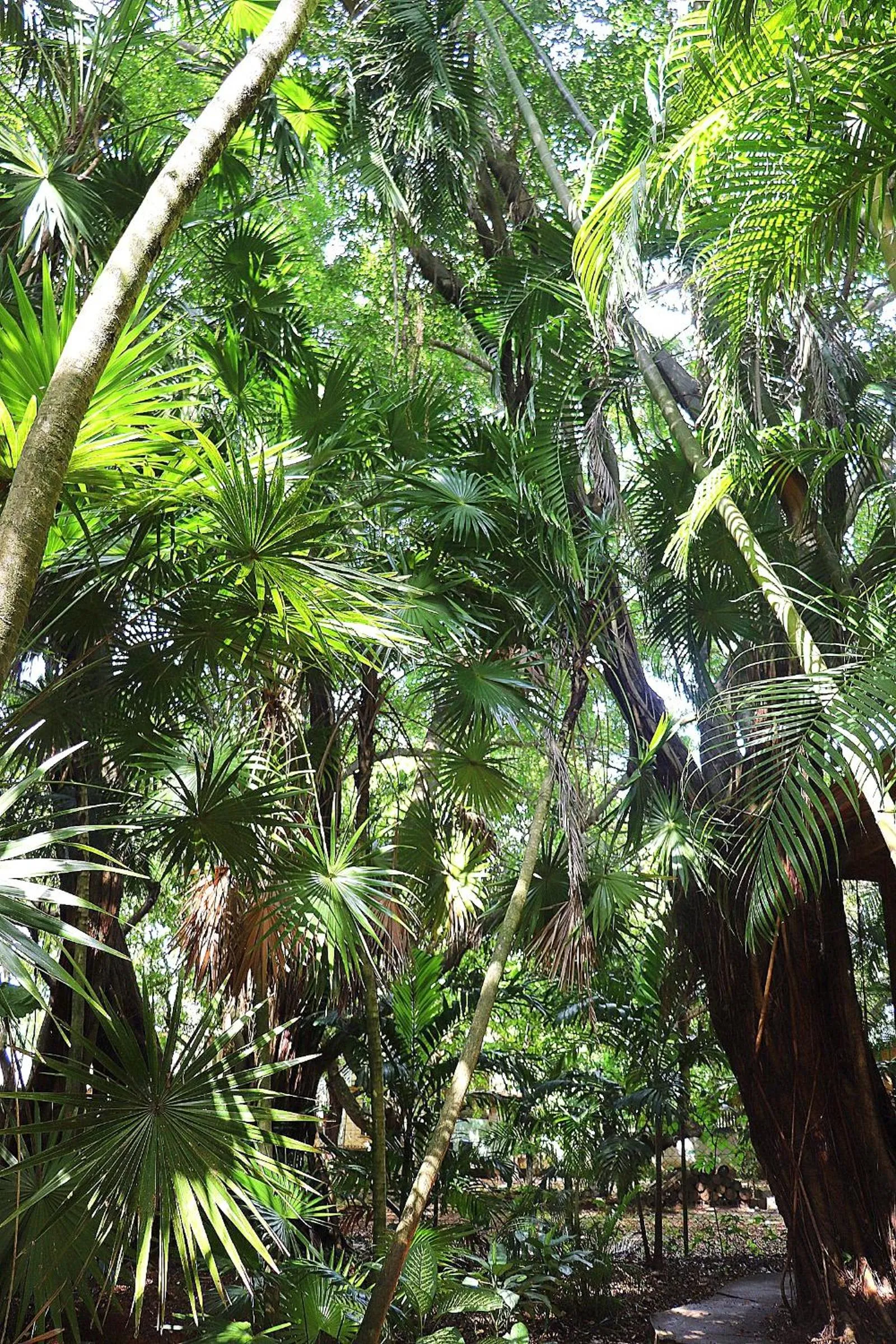 Posada Arco Iris, West End