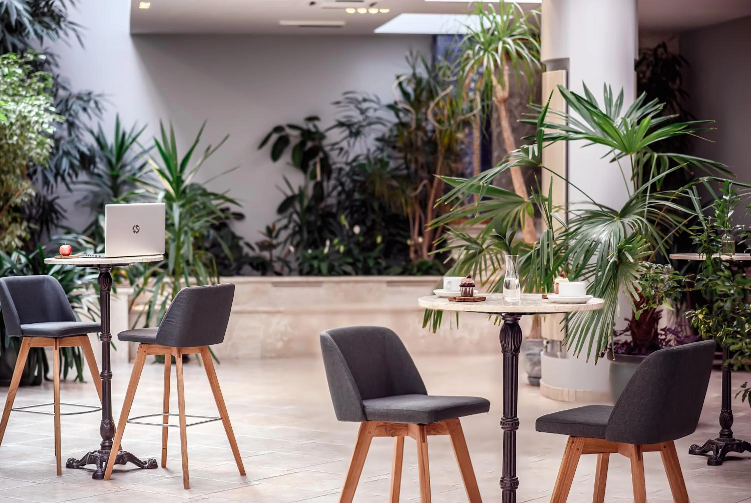 Meeting/conference room in SPA VILNIUS Druskininkai