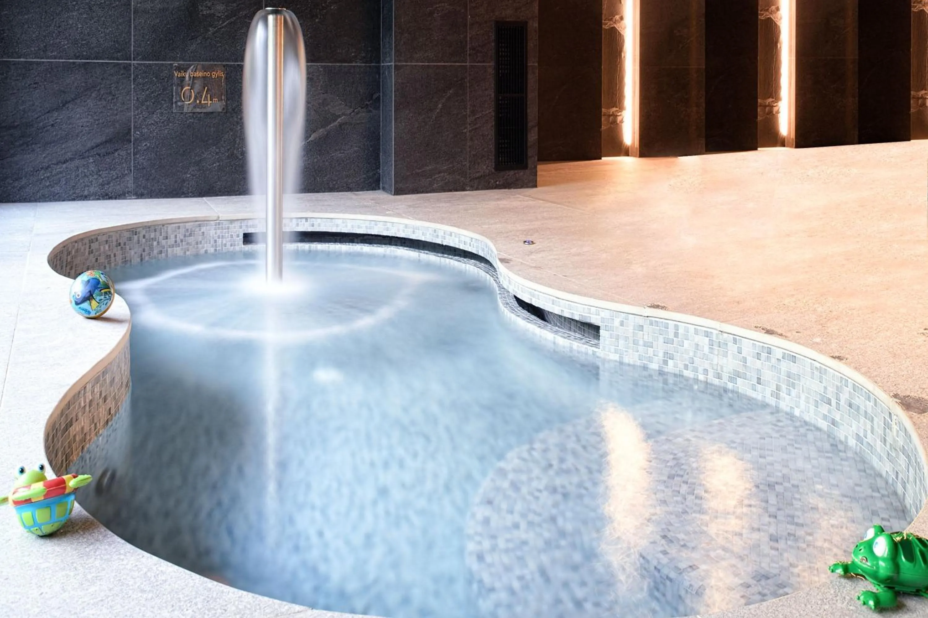 Spa and wellness centre/facilities in SPA VILNIUS Druskininkai