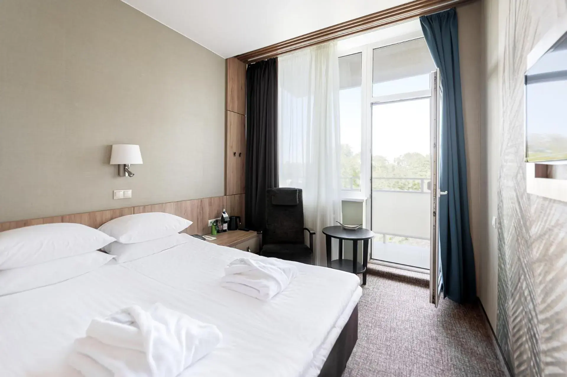Economy Double Room with Spa Access in SPA VILNIUS Druskininkai Economy Double Room with Spa Access in SPA VILNIUS Druskininkai