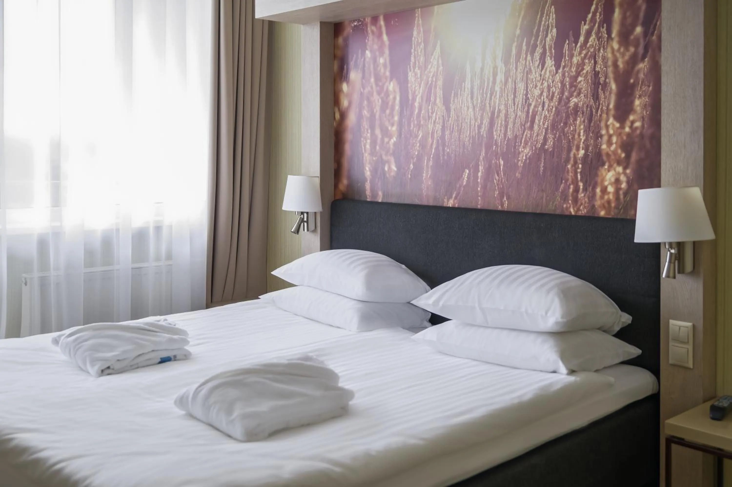 Bed in SPA VILNIUS Druskininkai