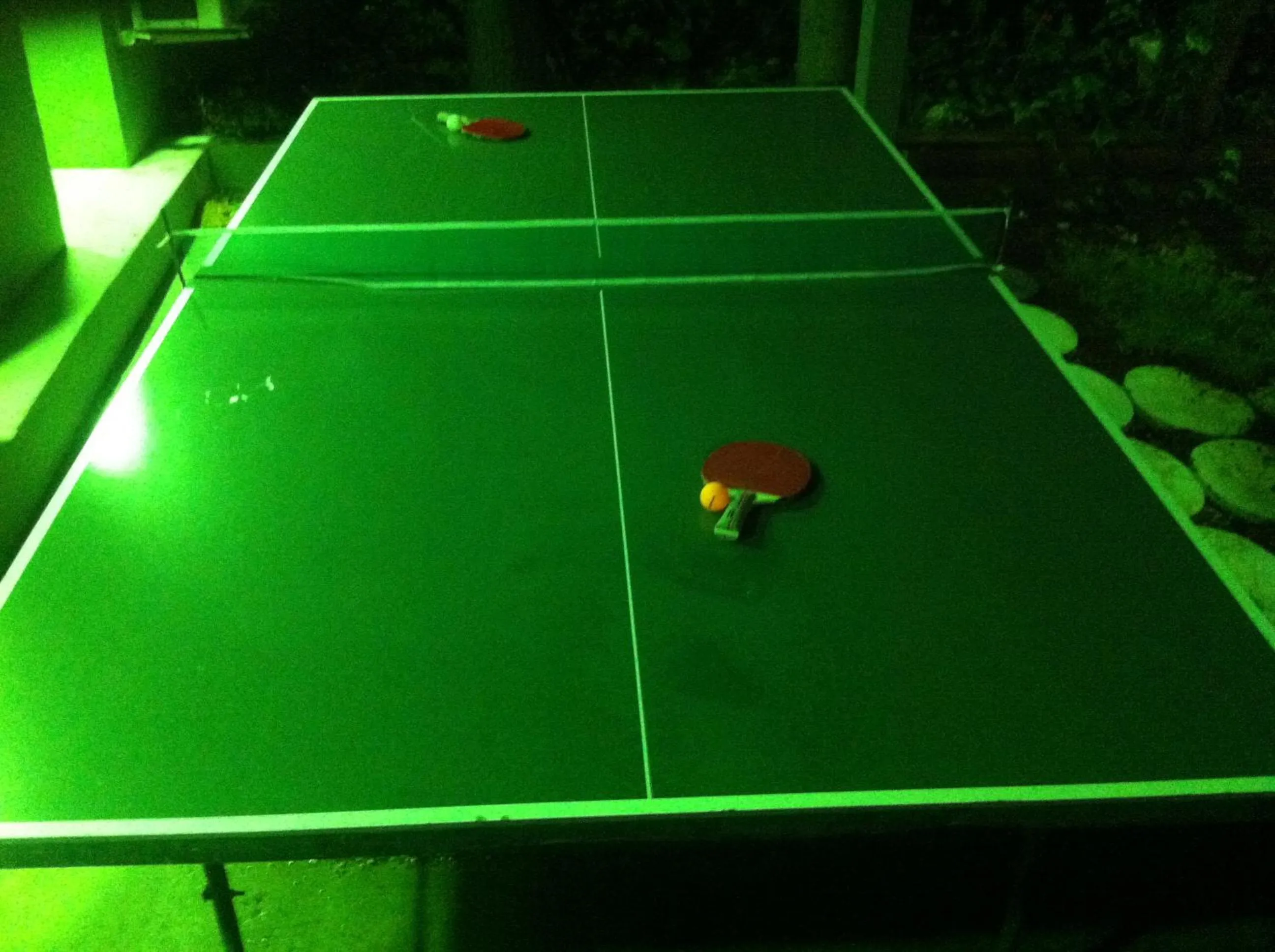 Table tennis in Atamer Doga Resort