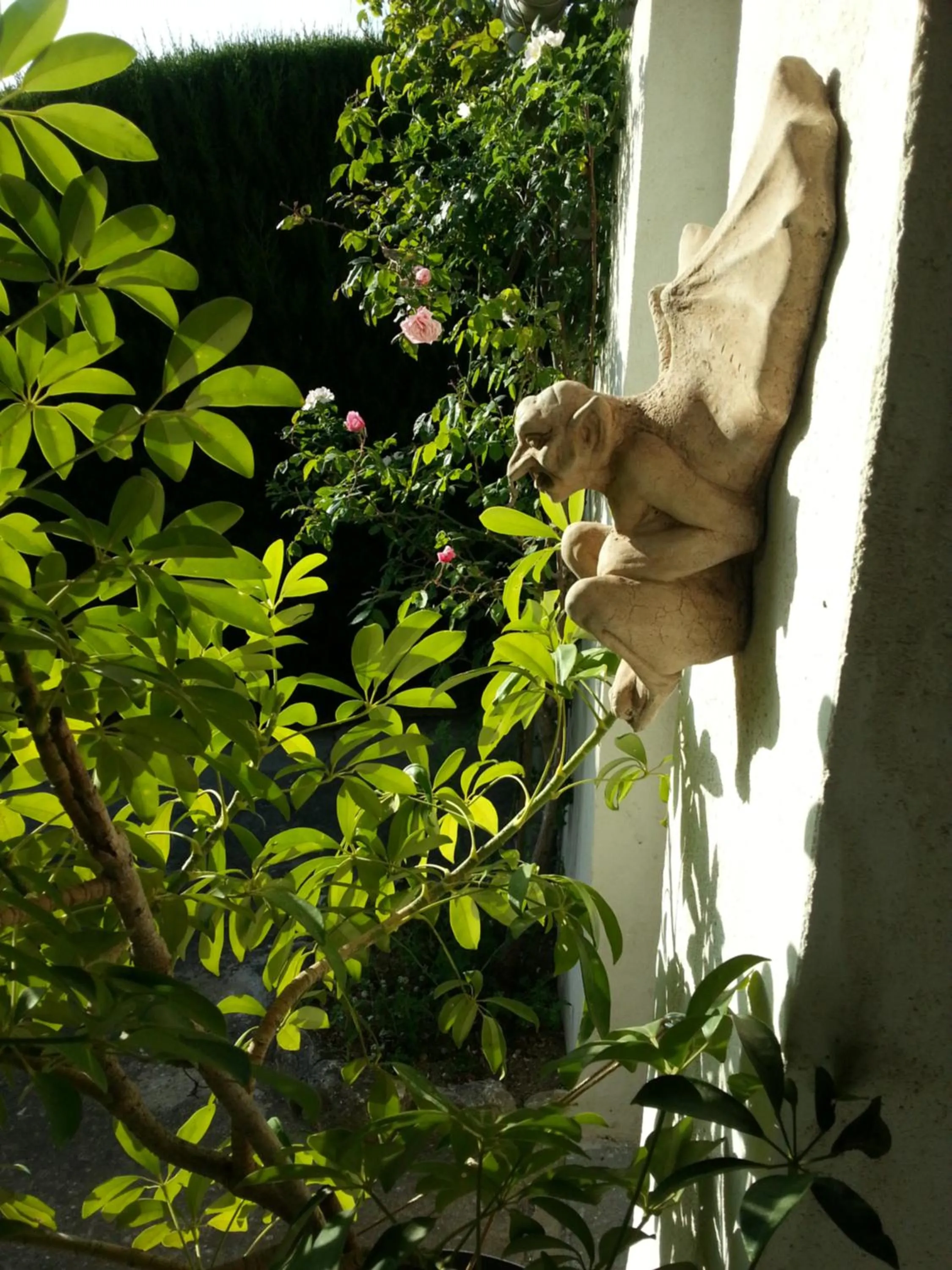 Chambre d'hotes Casa Biba