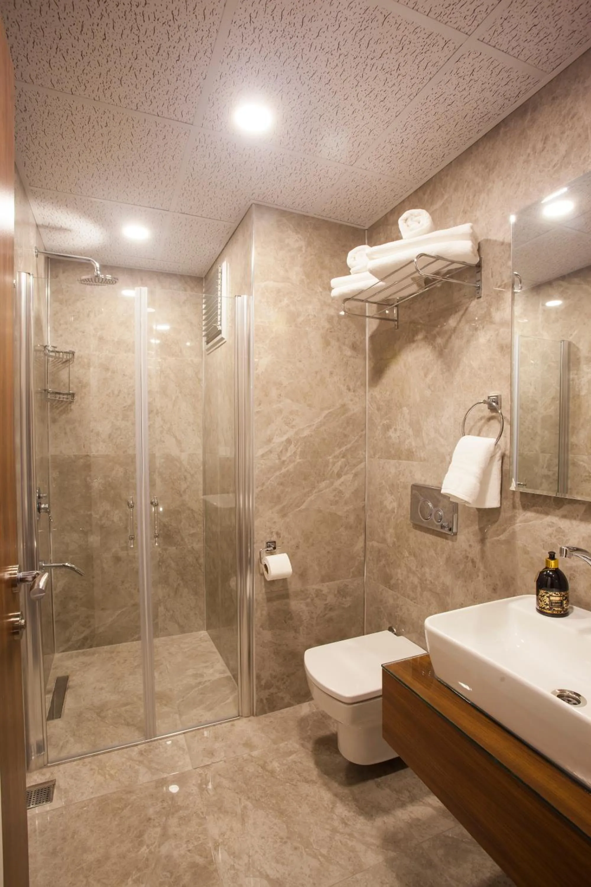 Shower in Maxuite Hotel in Home