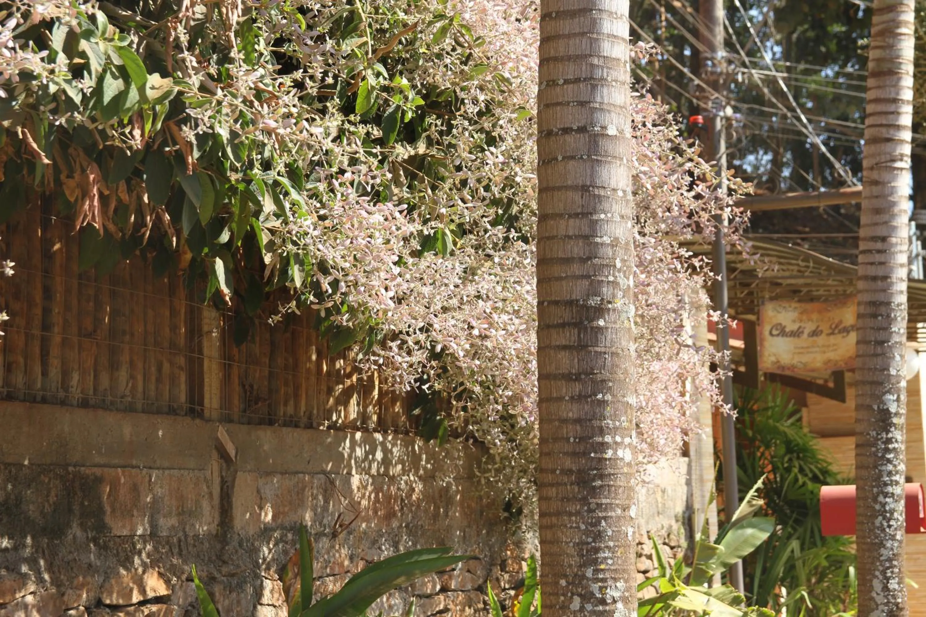 Property building in Chalé do Lago