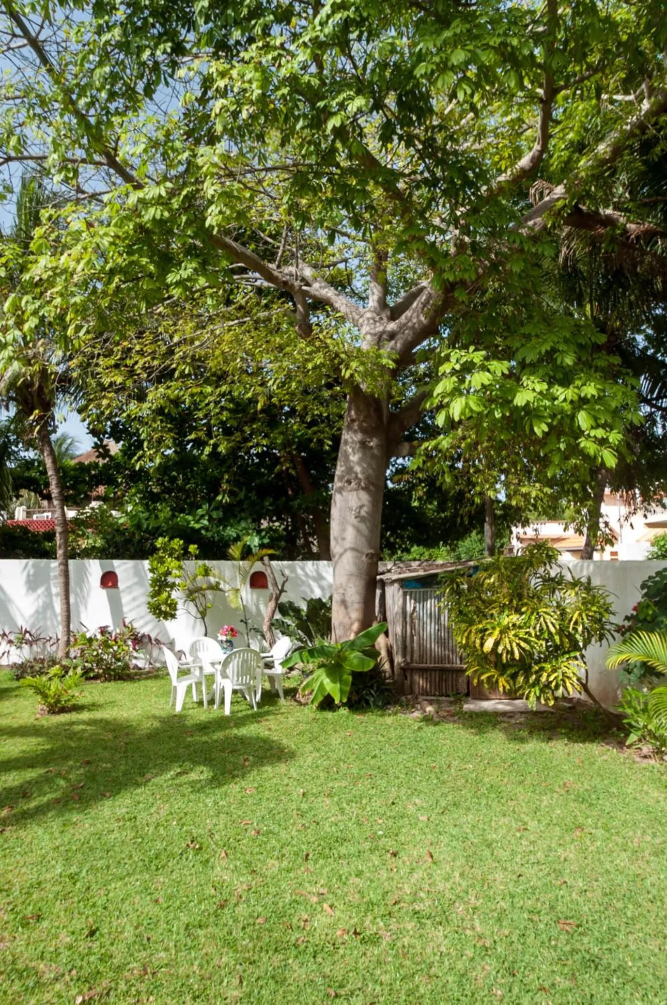 Garden in Casa Anita - Relaxing Home Steps from the Puerto Morelos Beach