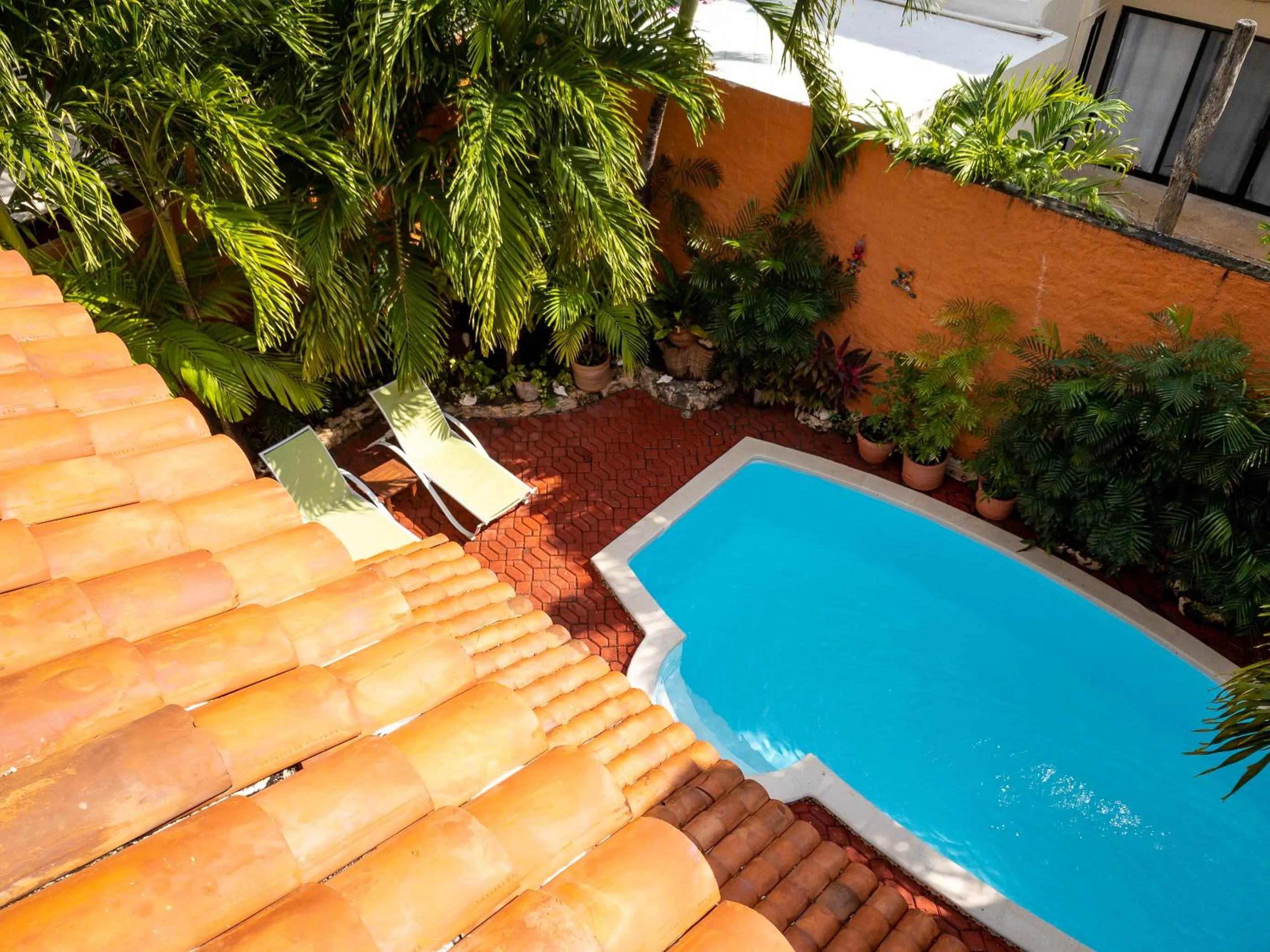 Garden in Casa Mulder - Steps to Beach Private Pool Ocean-View Roof