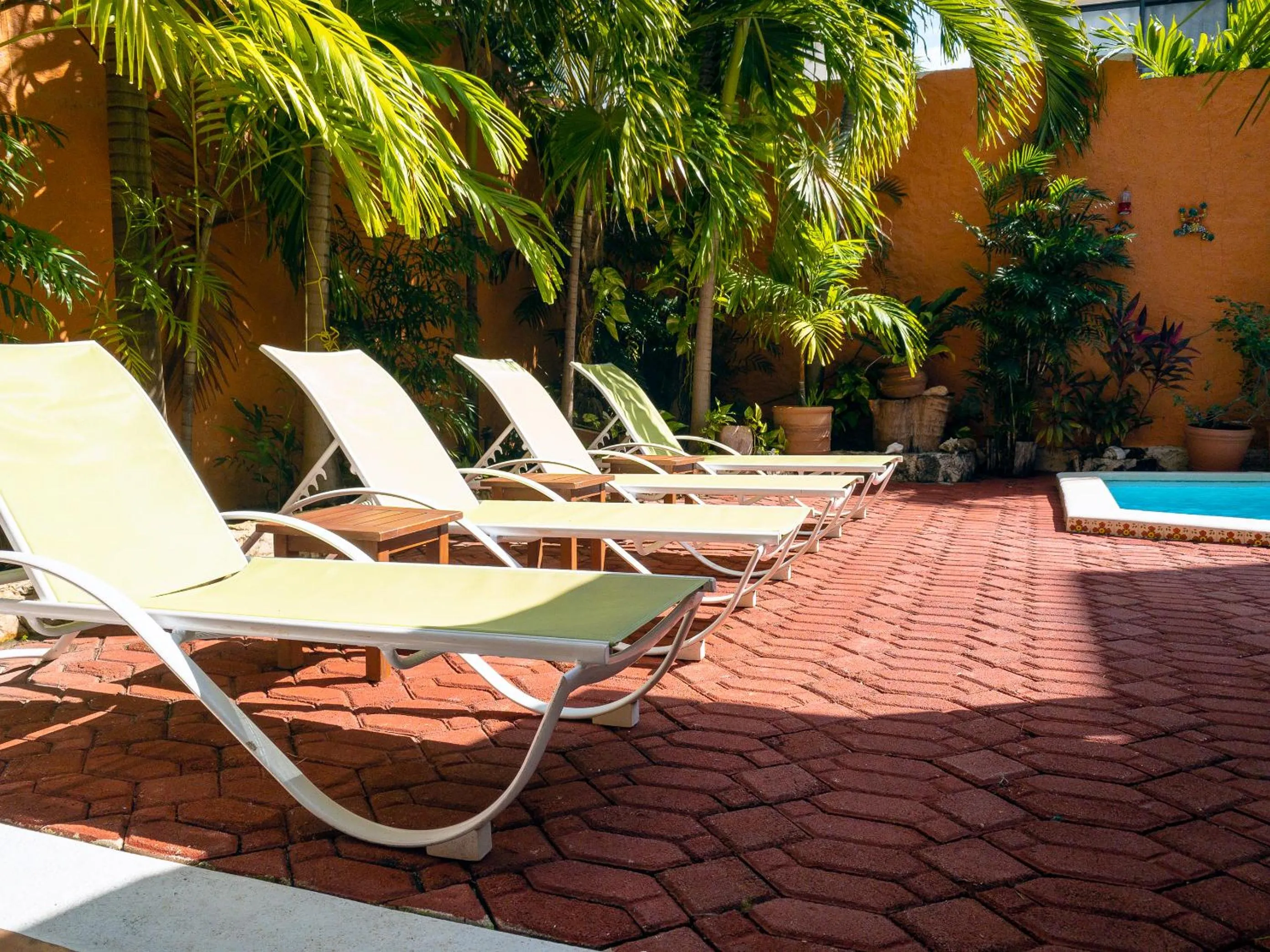 Swimming pool in Casa Mulder - Steps to Beach Private Pool Ocean-View Roof