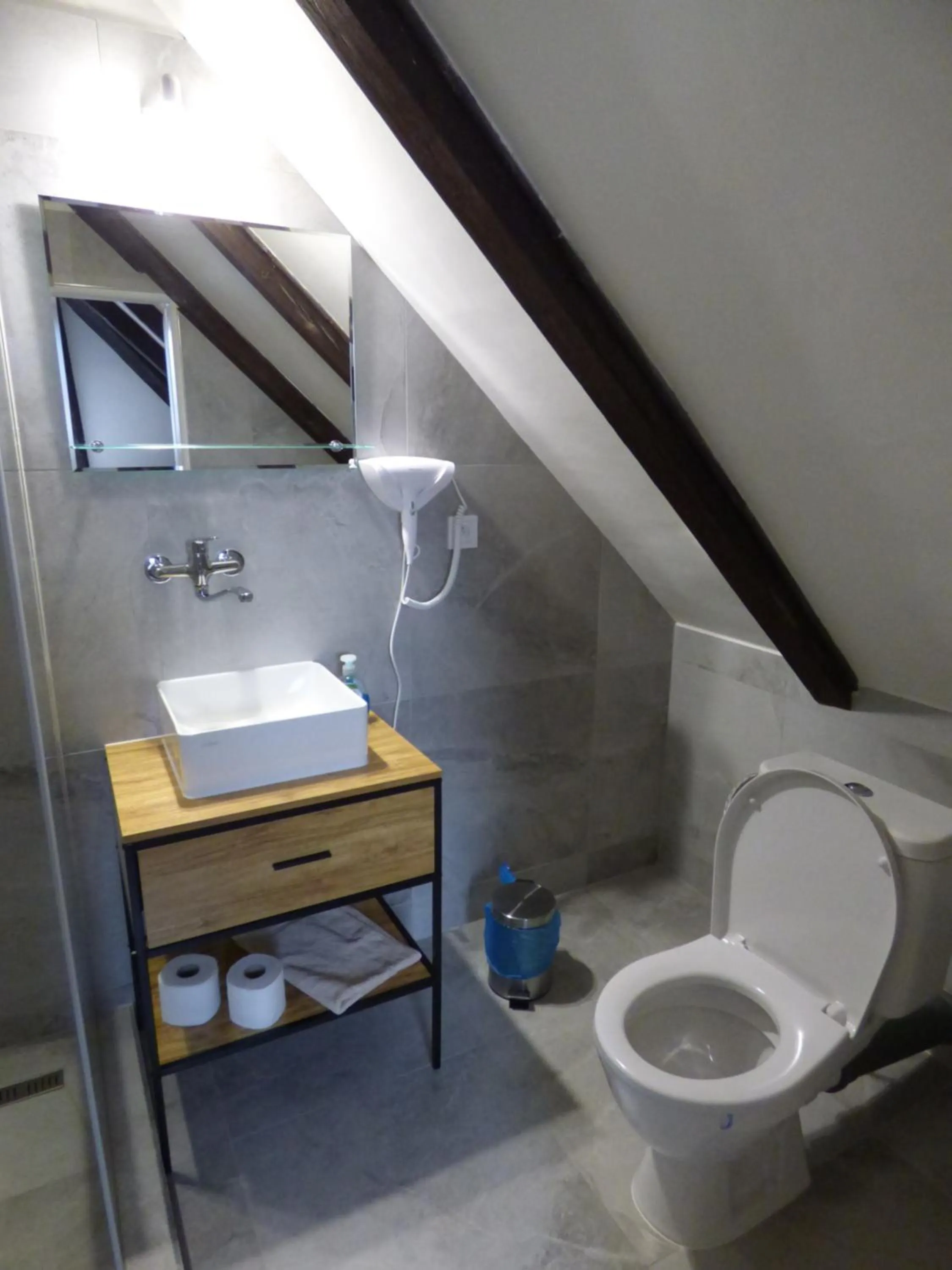 Toilet in Hotel Svornost