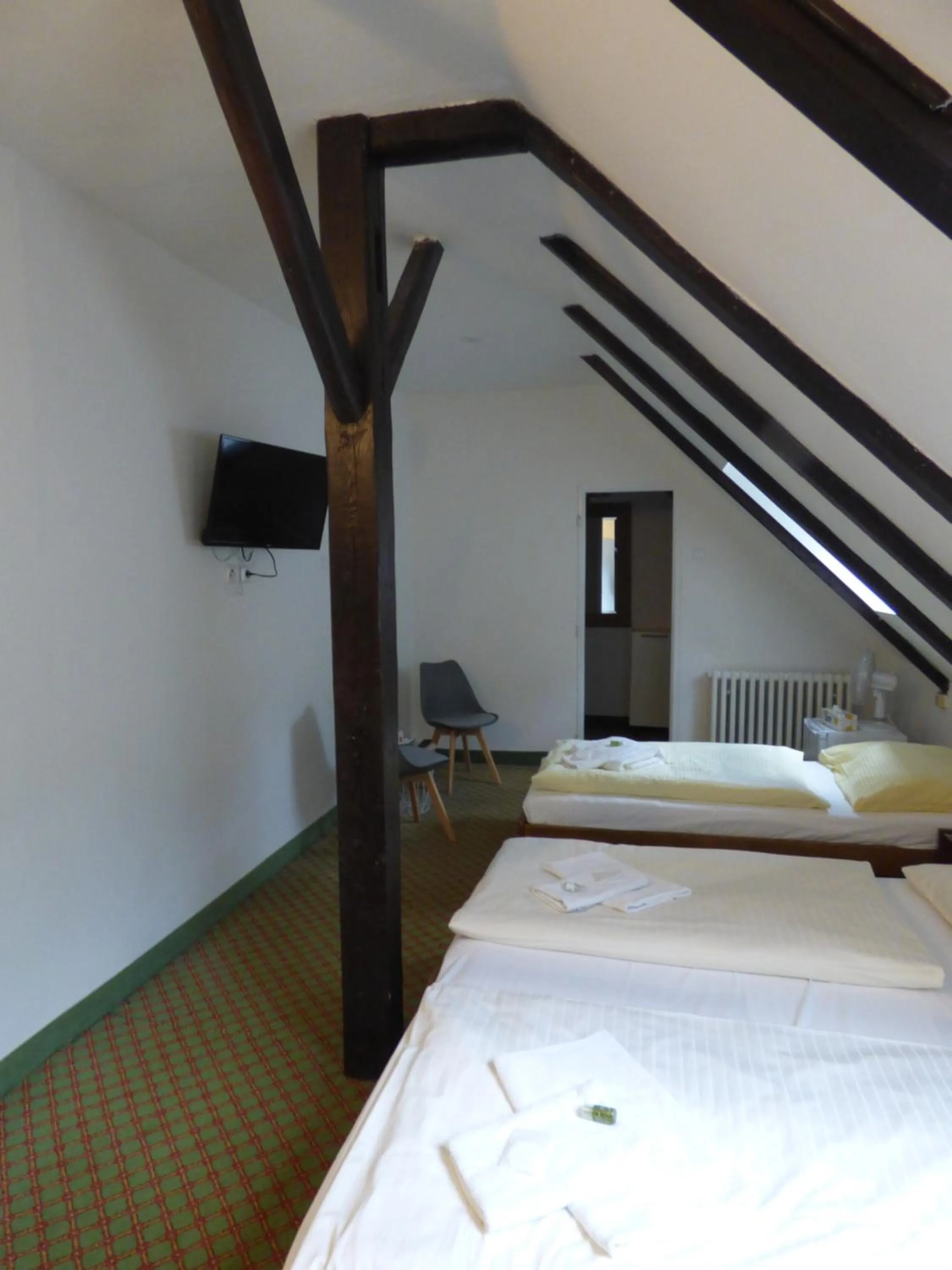 Bed in Hotel Svornost