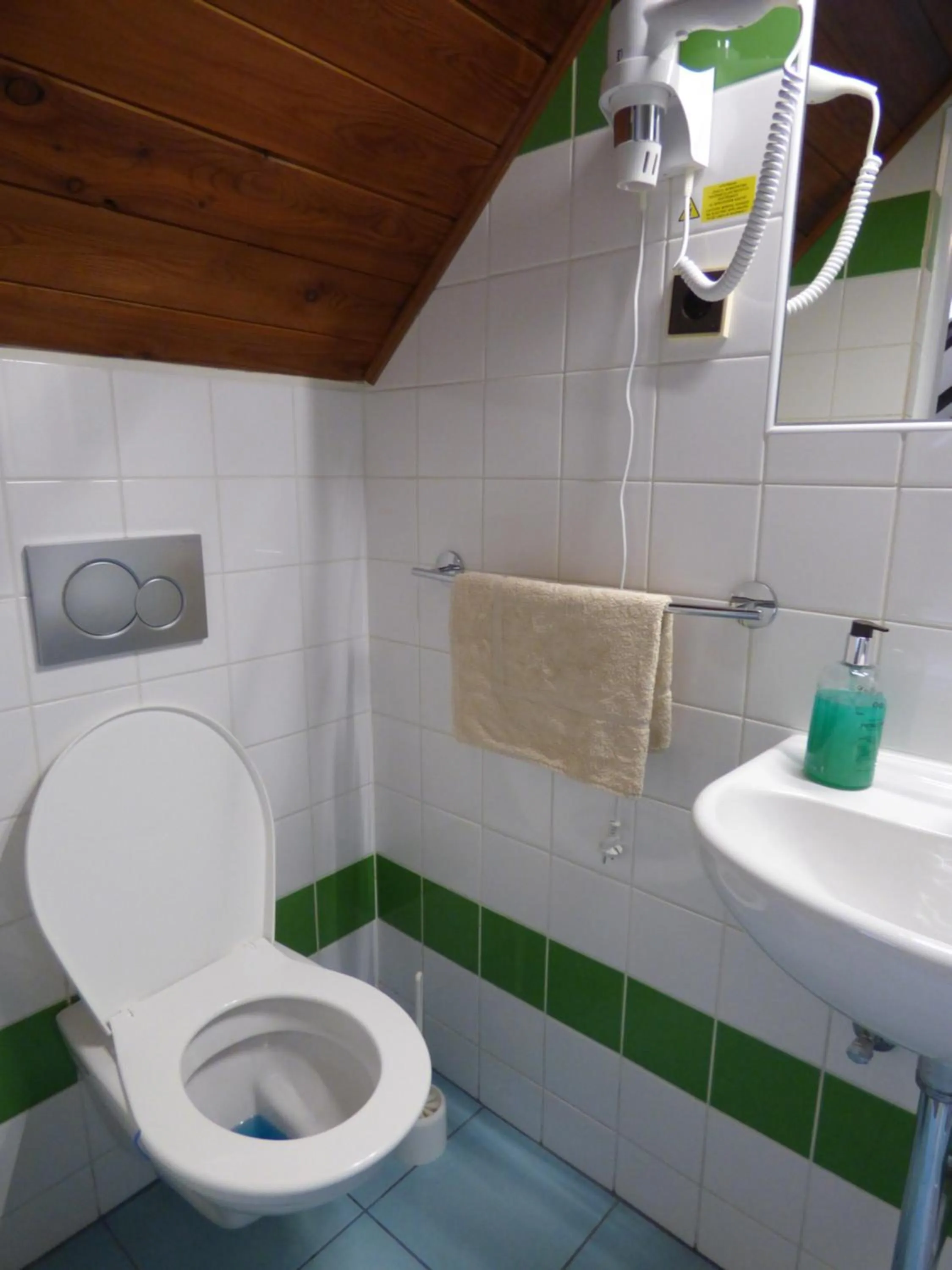 Toilet in Hotel Svornost