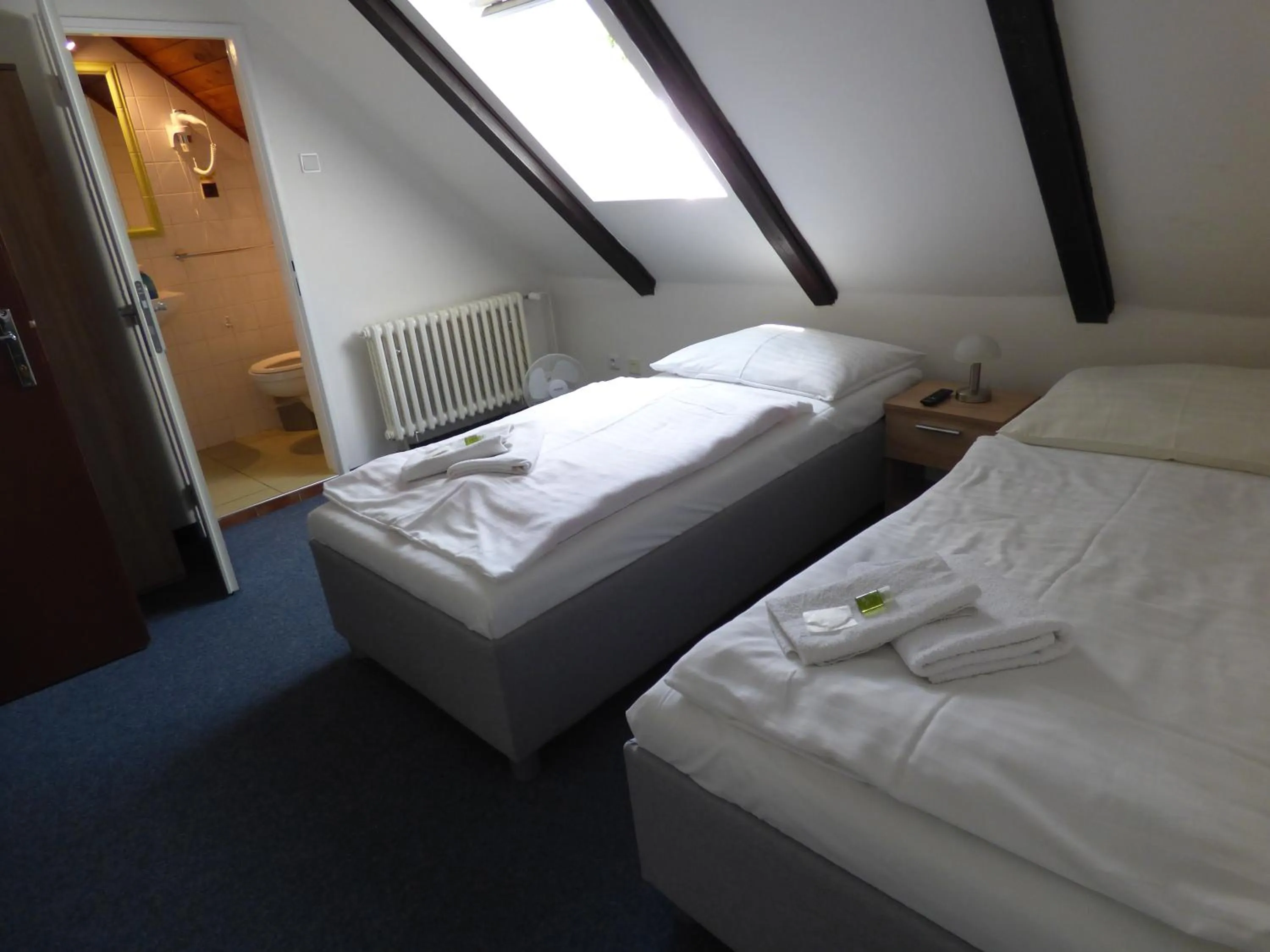 Bed in Hotel Svornost