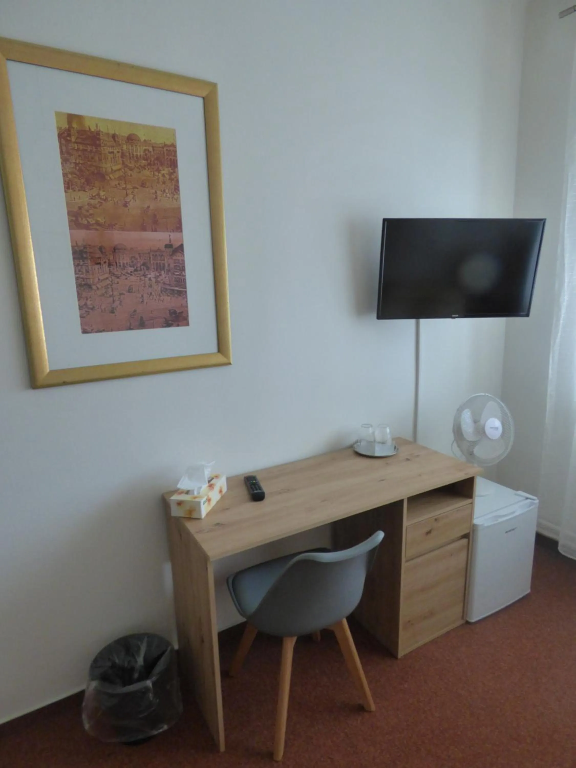 TV and multimedia in Hotel Svornost