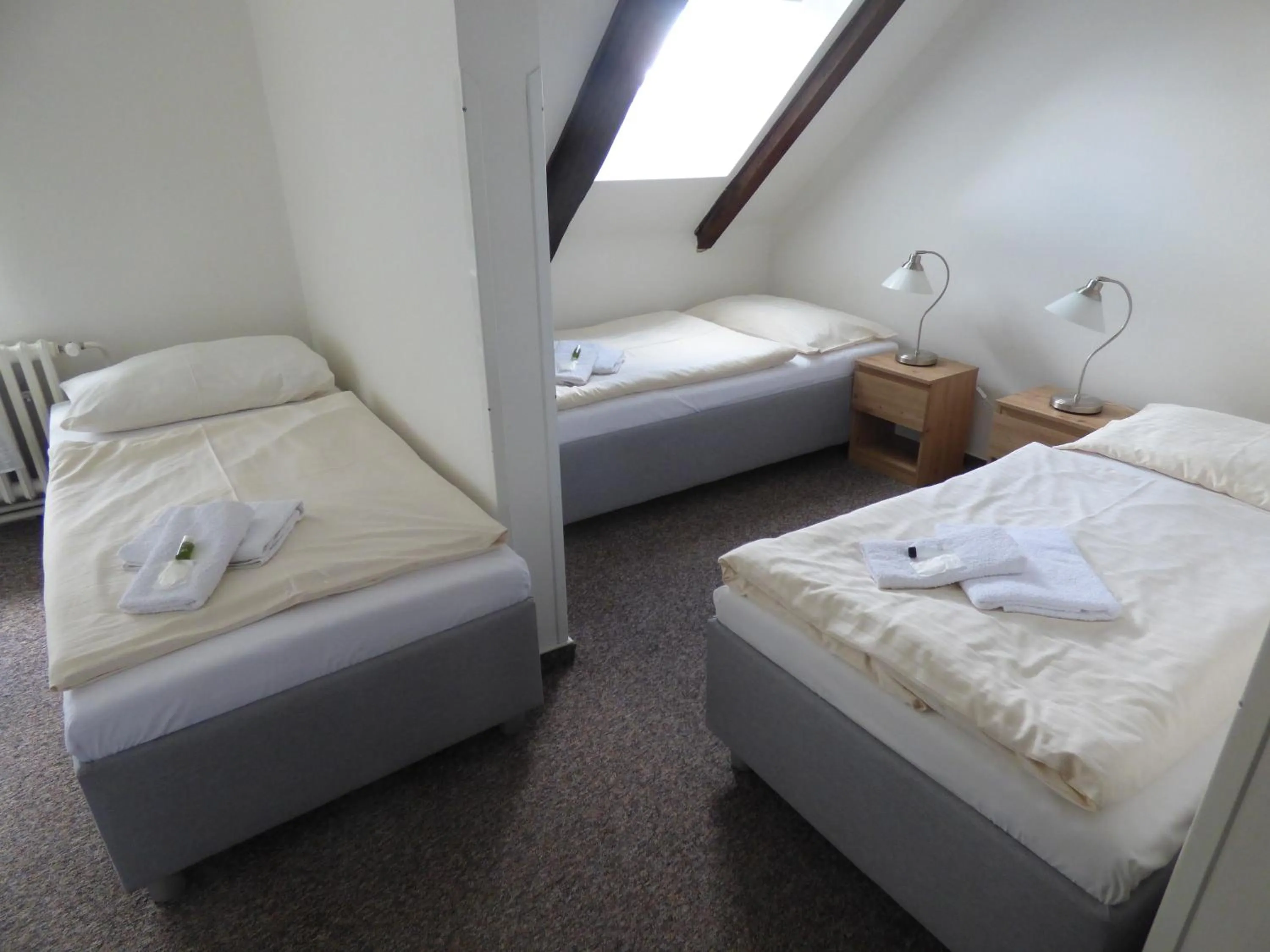 Bed in Hotel Svornost