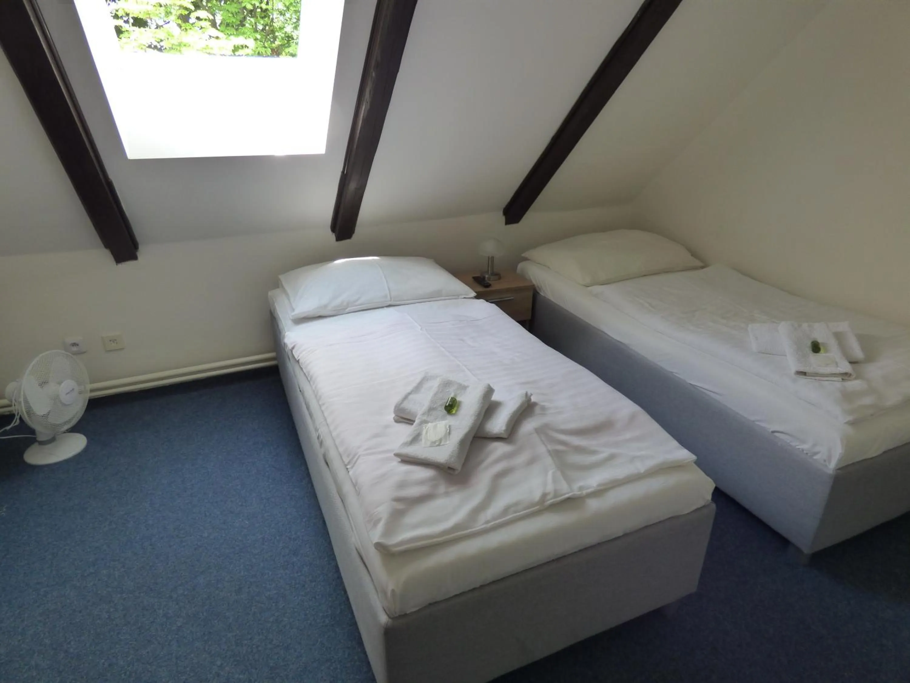 Bed in Hotel Svornost