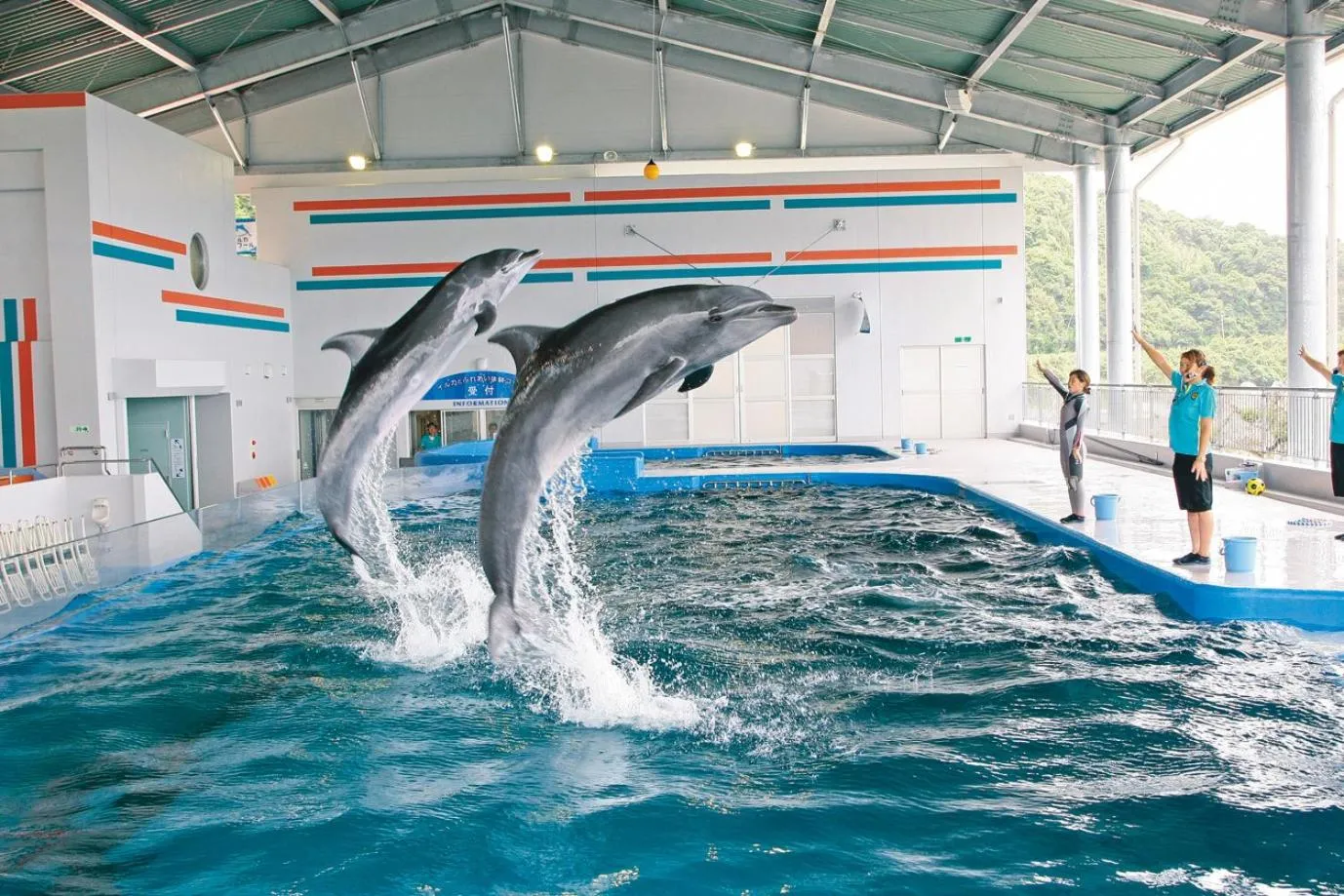 Property building in Shibushiwan Daikoku Resort Hotel